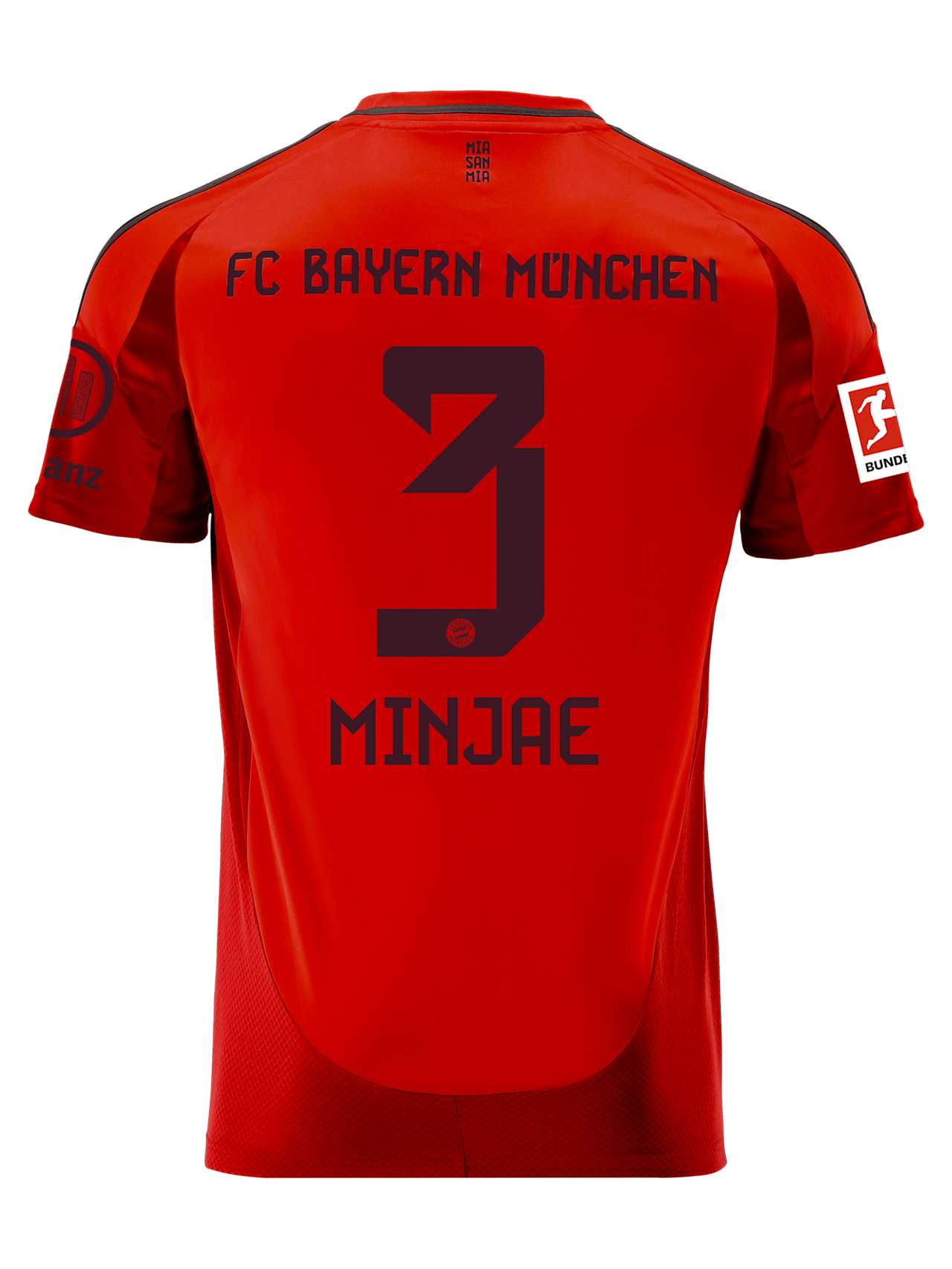 Herren Trikot Home 24-25 1