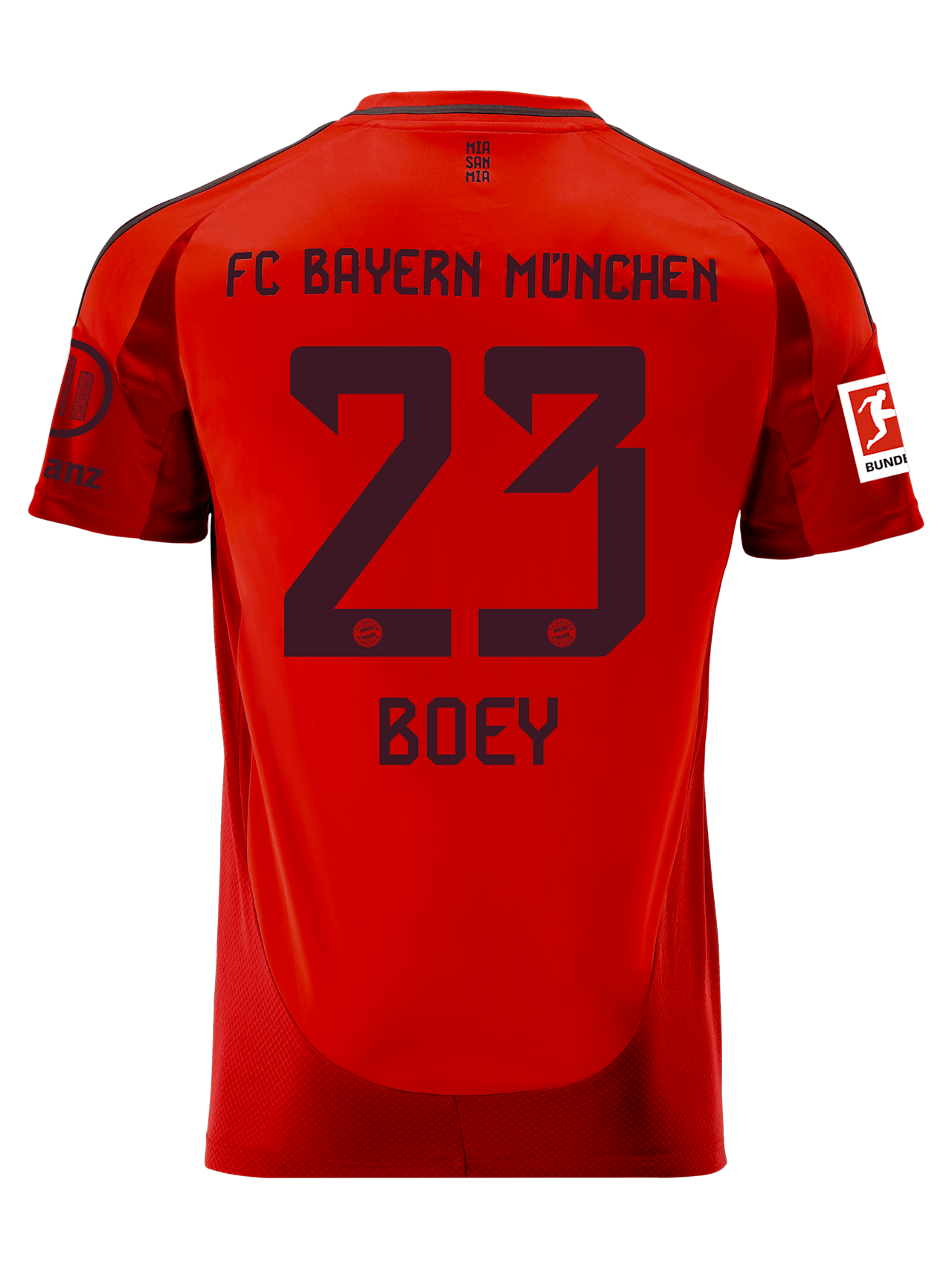 Herren Trikot Home 24-25 1