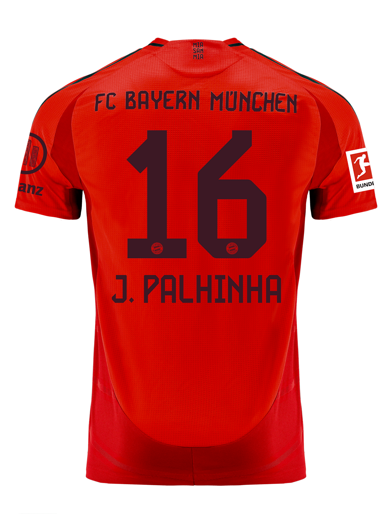 Authentic Trikot Home 24-25 detail 2