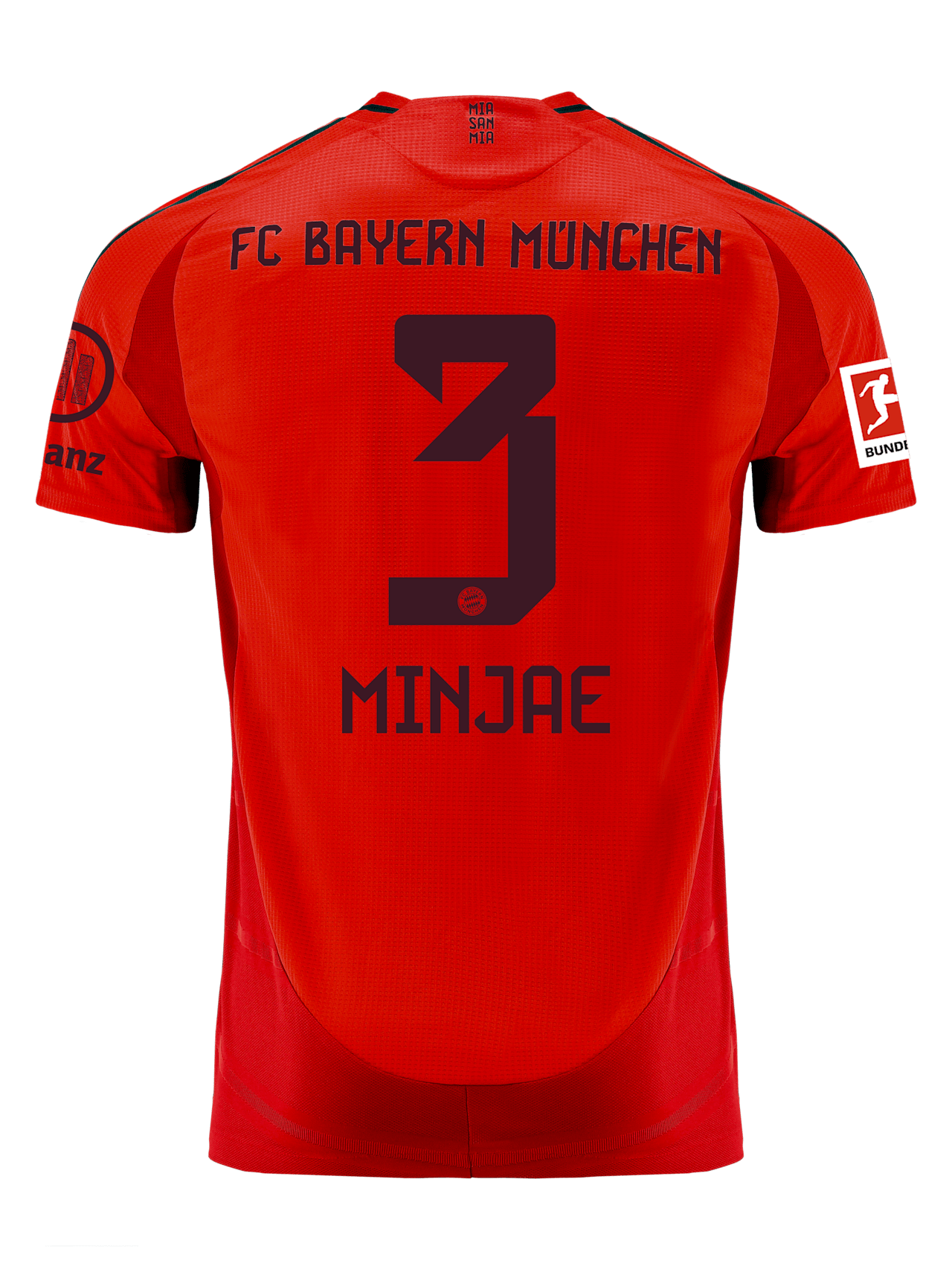 Authentic Trikot Home 24-25 detail 2