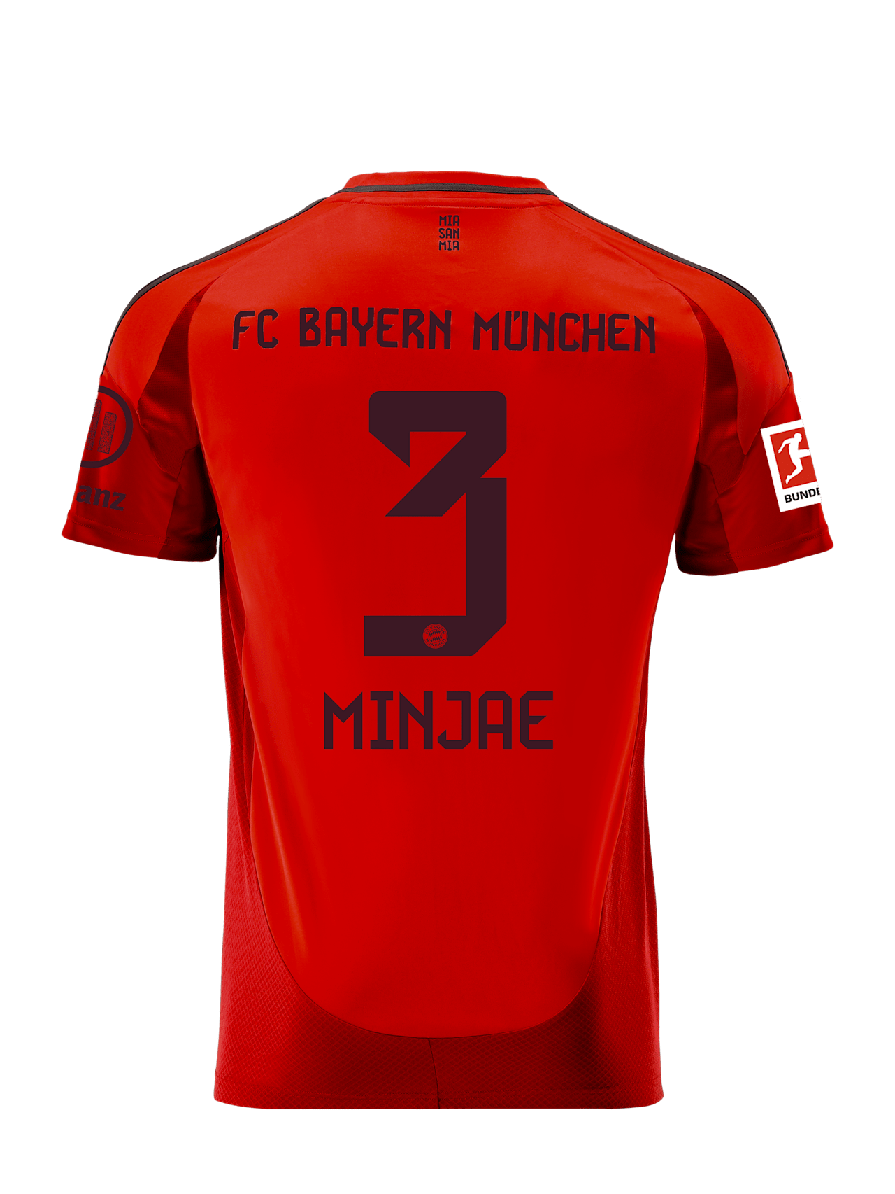 Trikot Home 24-25 detail 2