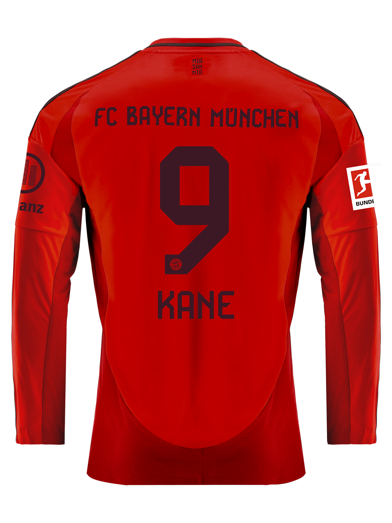 Herren Langarm Trikot Home 24-25 1