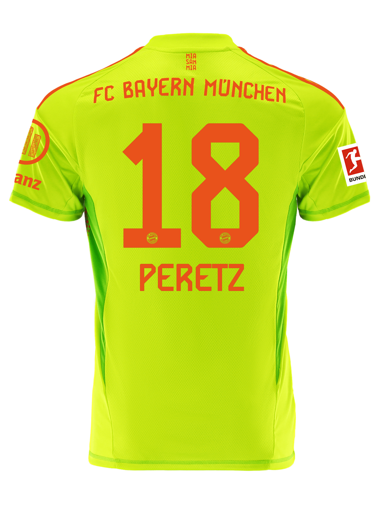 Goalkeeper jersey 24-25 detail 2
