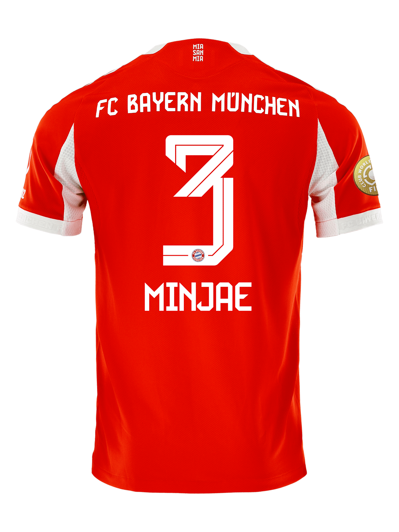 Maillot Authentique Domicile 25-26 detail 2