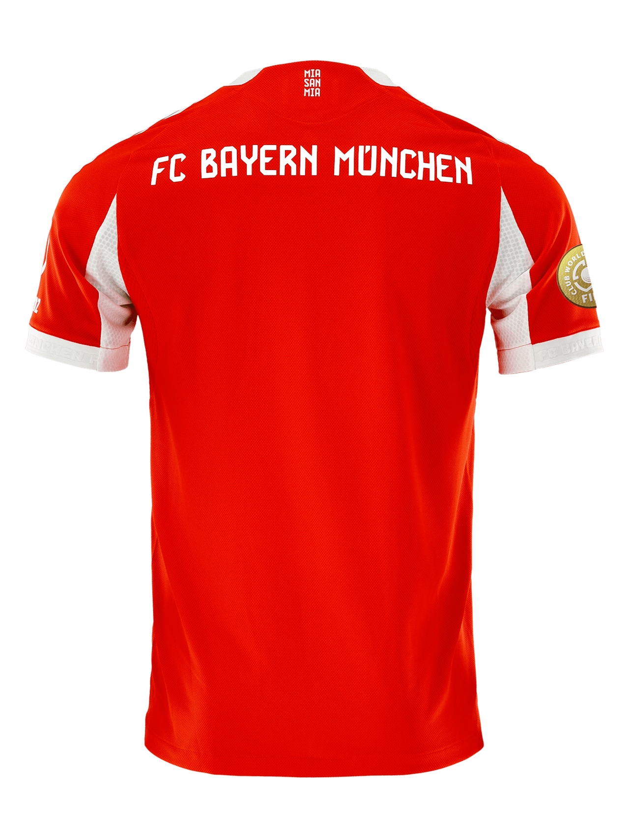 Maillot Authentique Domicile 25-26 detail 2