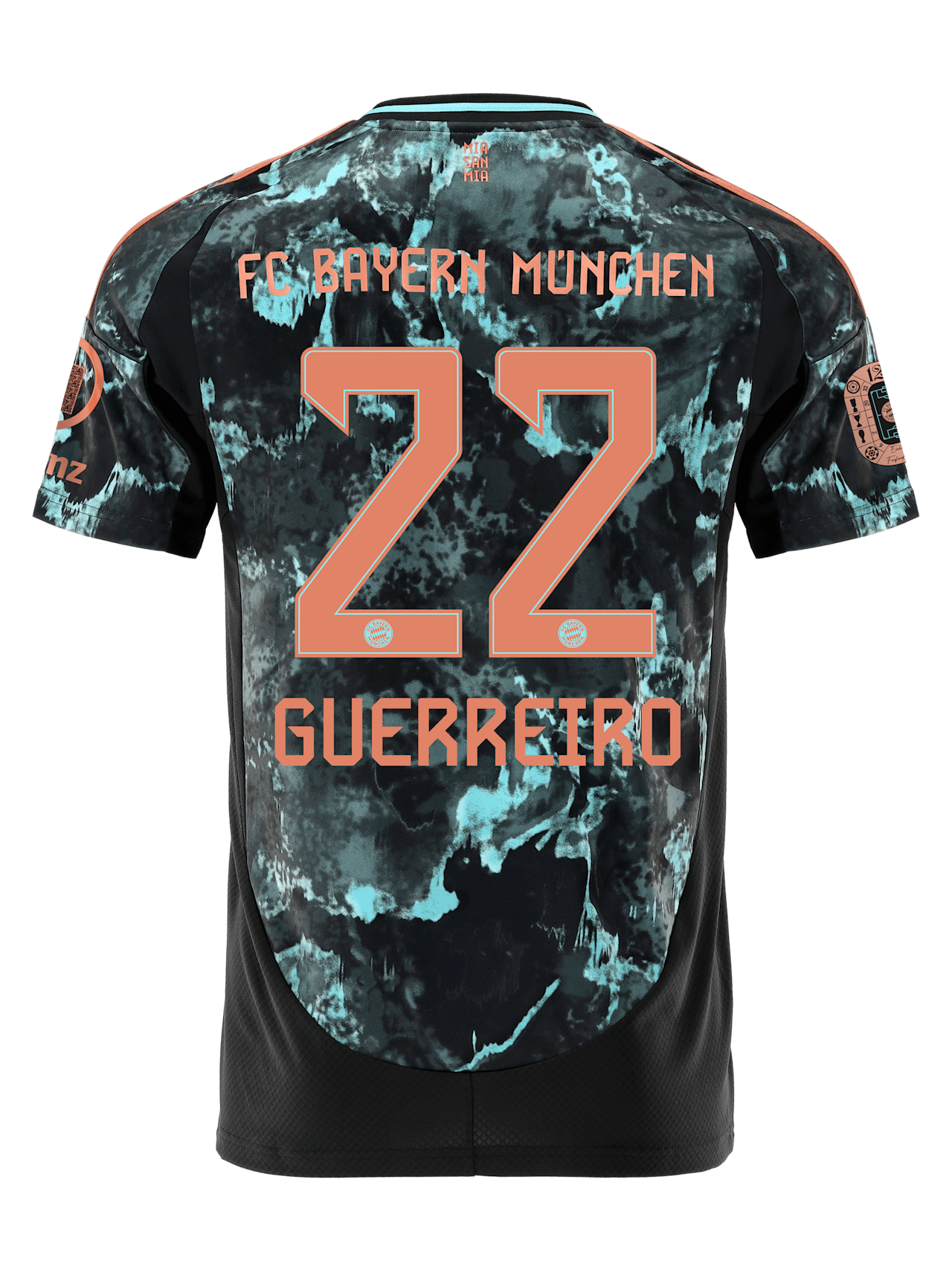 Herren Trikot Away 24-25 1