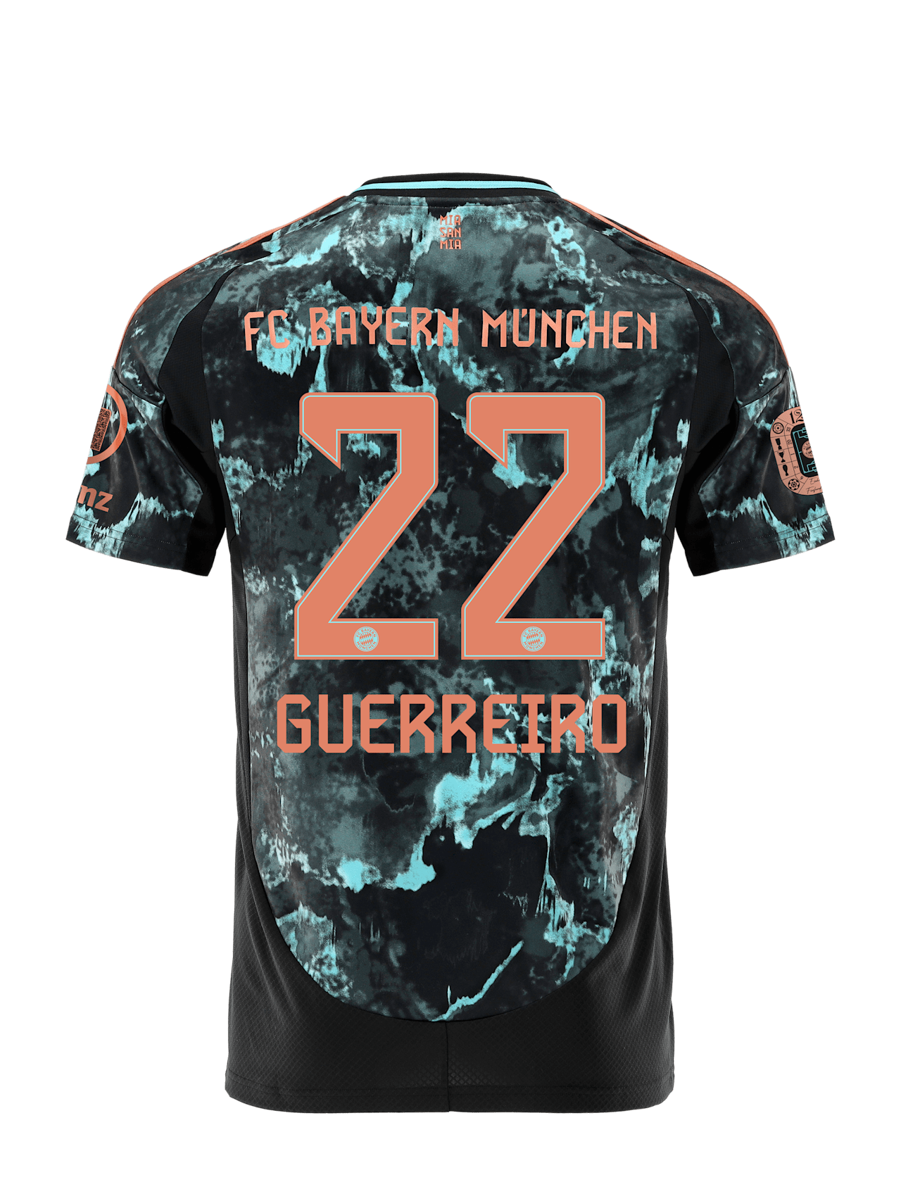 Trikot Away 24-25 detail 2