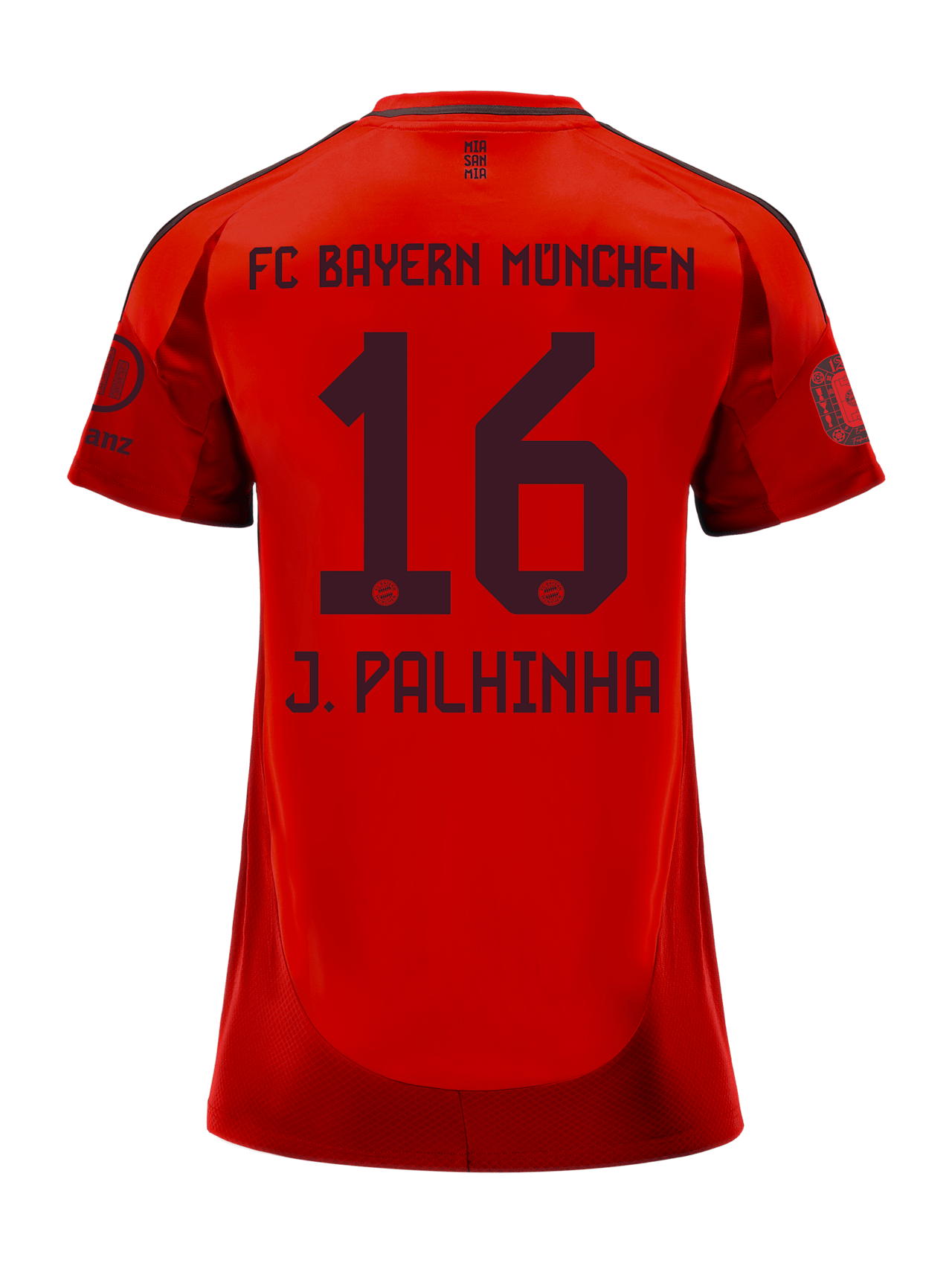 Jersey Home 24-25 detail 2