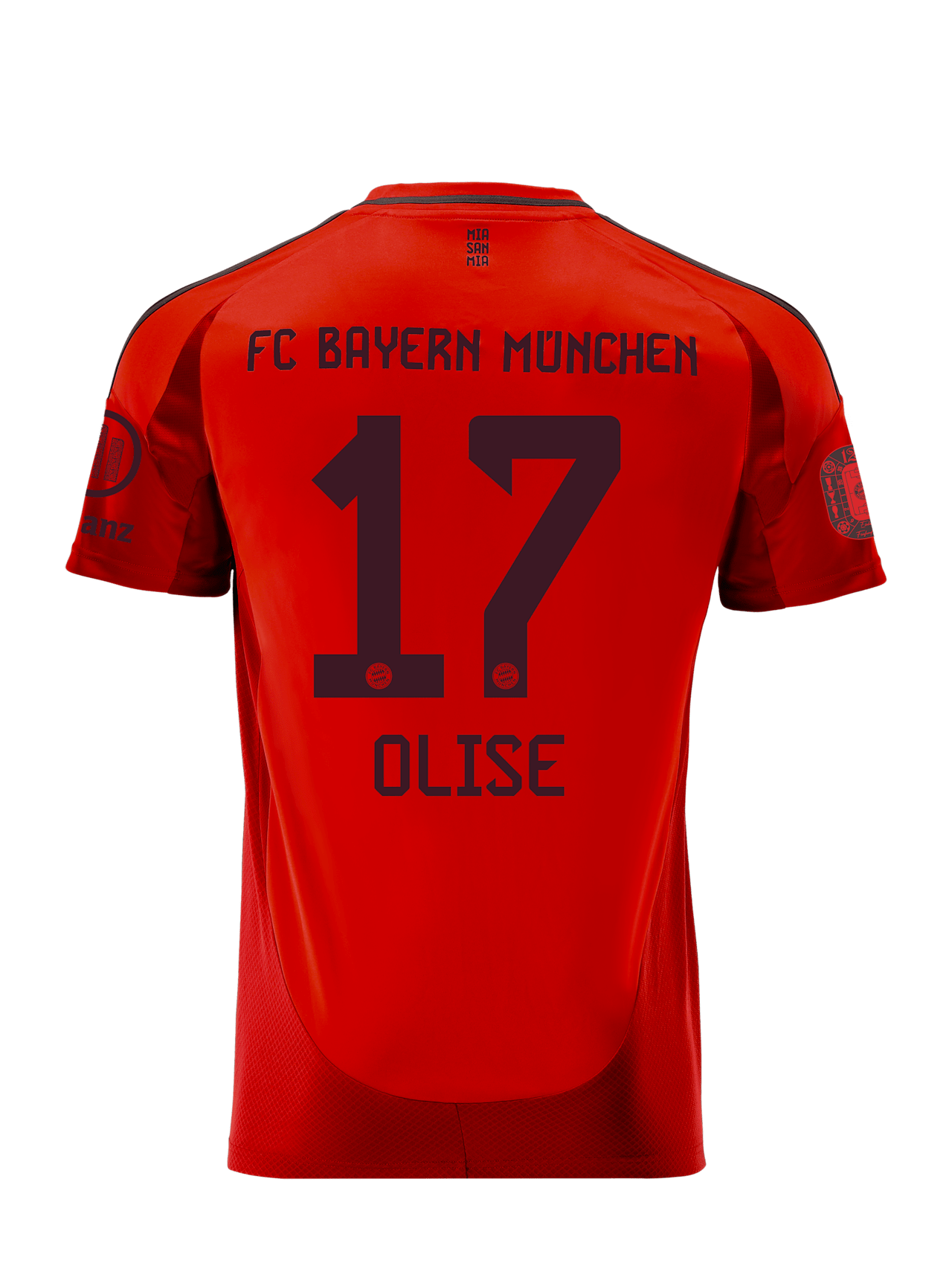 Trikot Home 24-25 detail 2