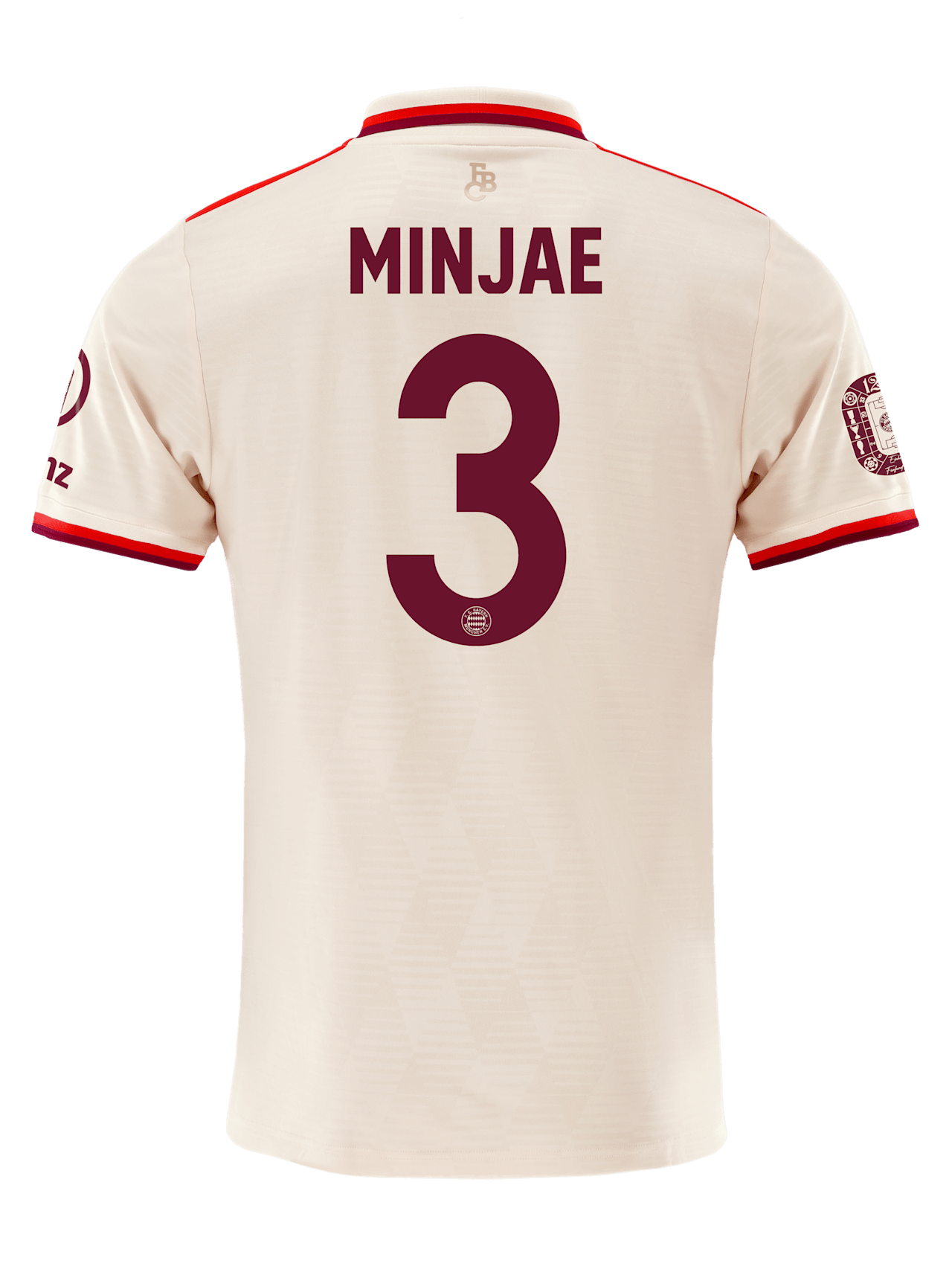 Maillot Ligue des Champions 24-25 detail 2