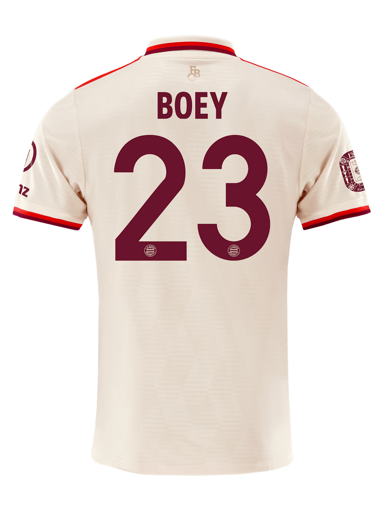 Maillot Ligue des Champions 24-25 detail 2