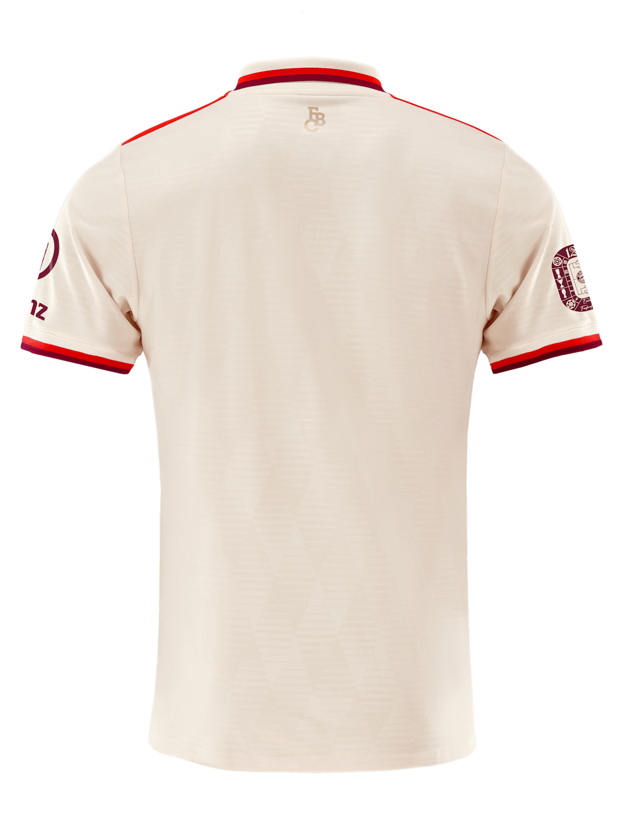 Maillot Ligue des Champions 24-25 detail 2