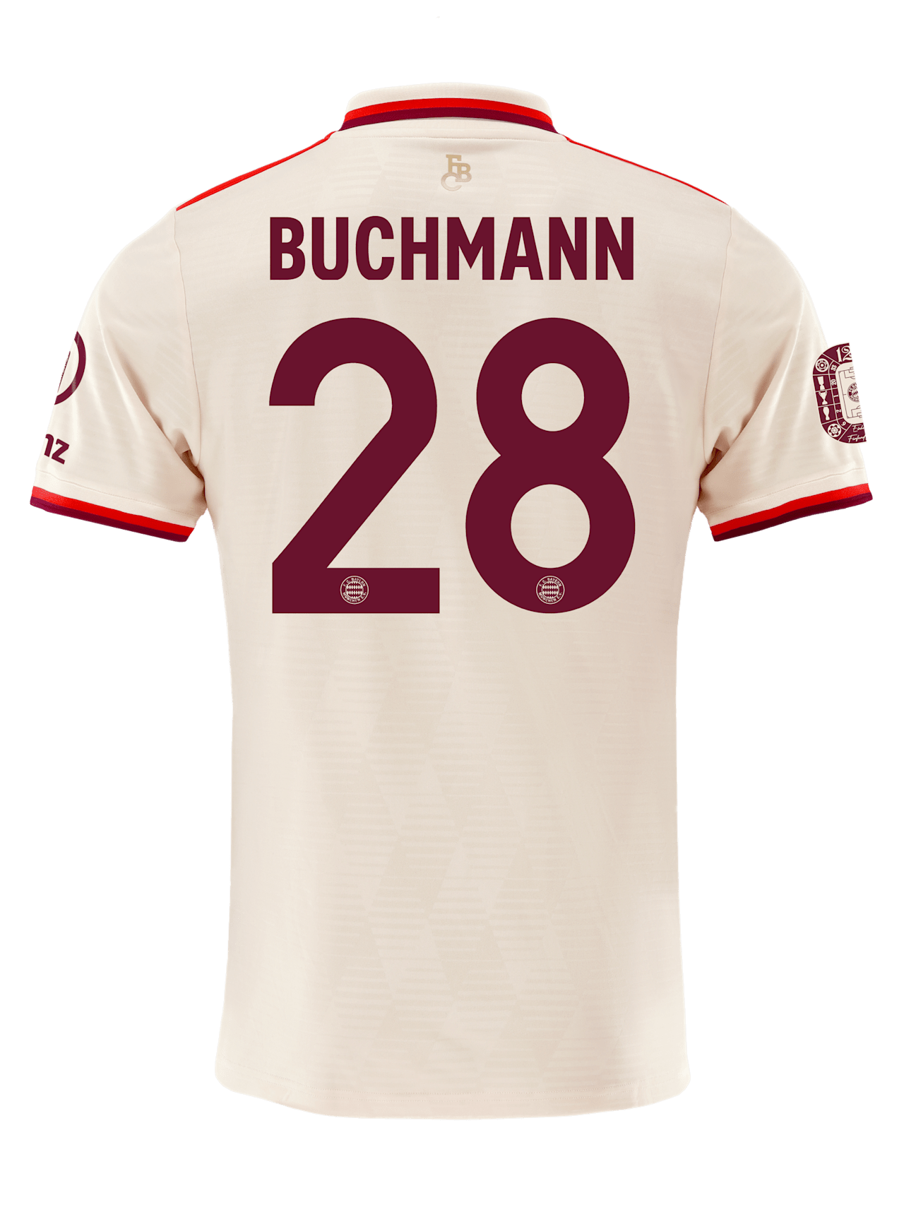 Authentic Jersey UCL 24-25 detail 2