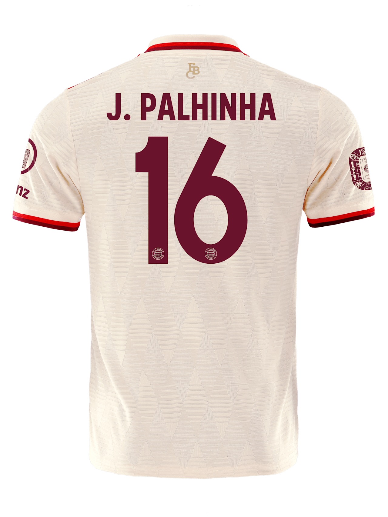 Authentic Trikot UCL 24-25 detail 2