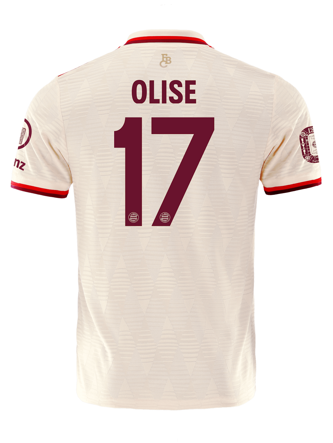 Authentic Trikot UCL 24-25 detail 2