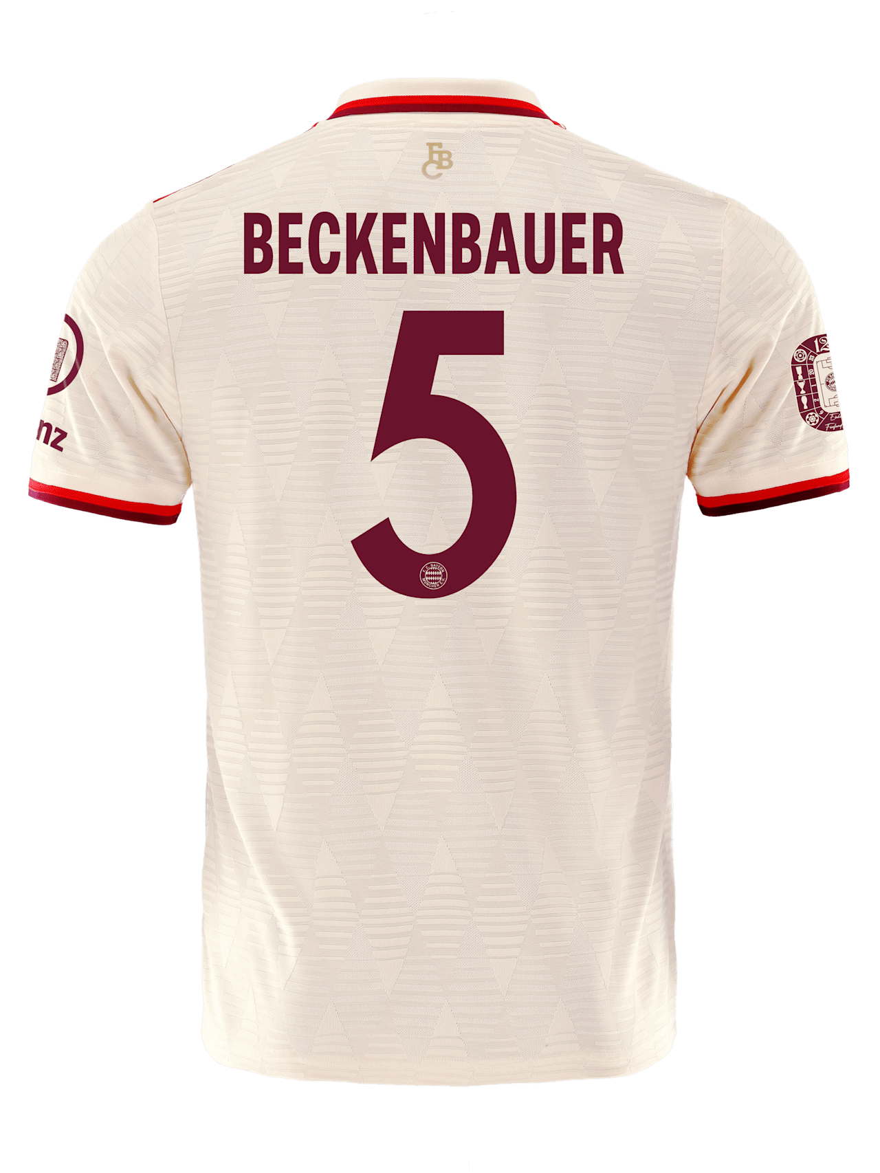 Authentic Trikot UCL 24-25 detail 2
