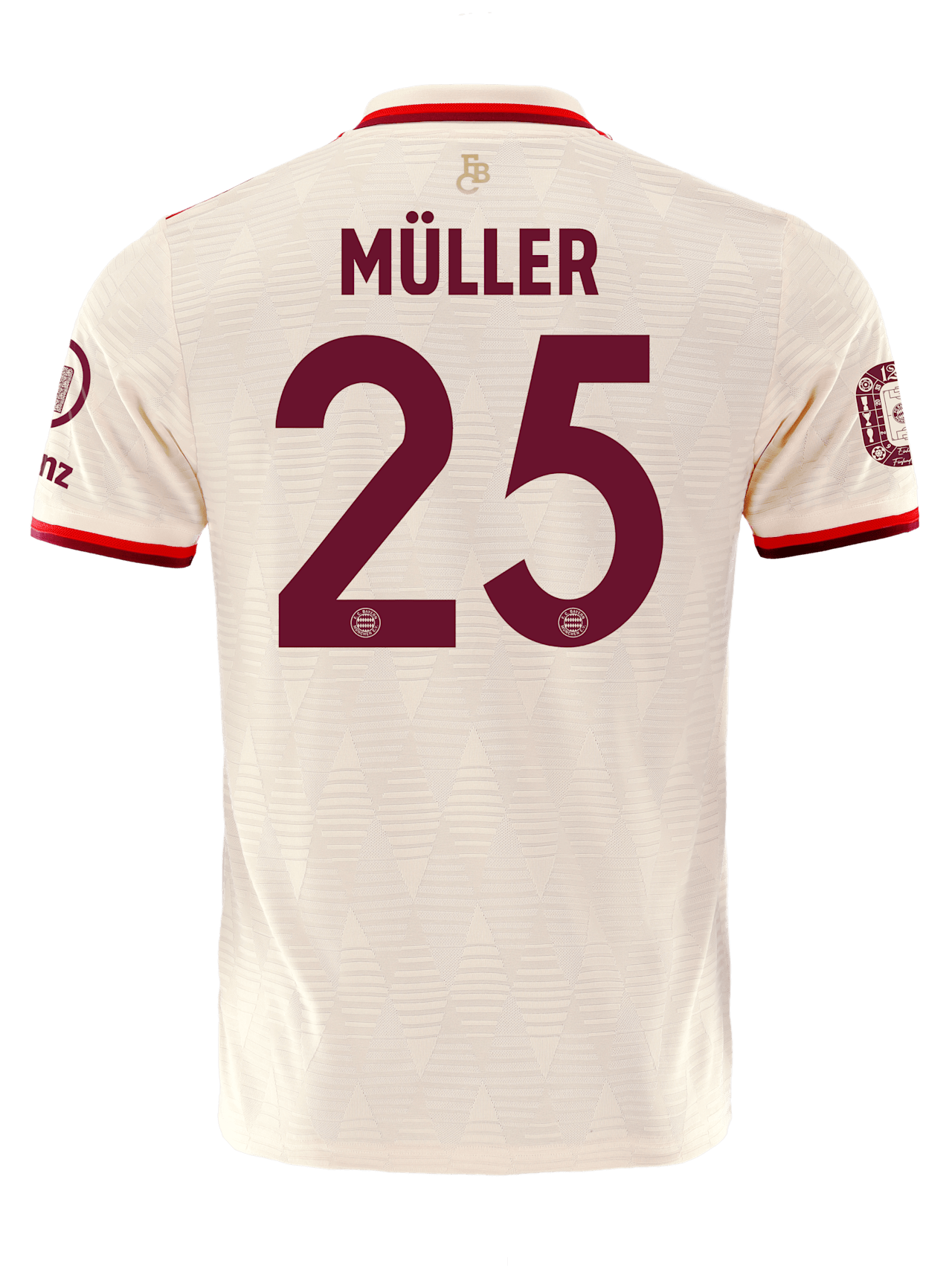 Authentic Trikot UCL 24-25 detail 2