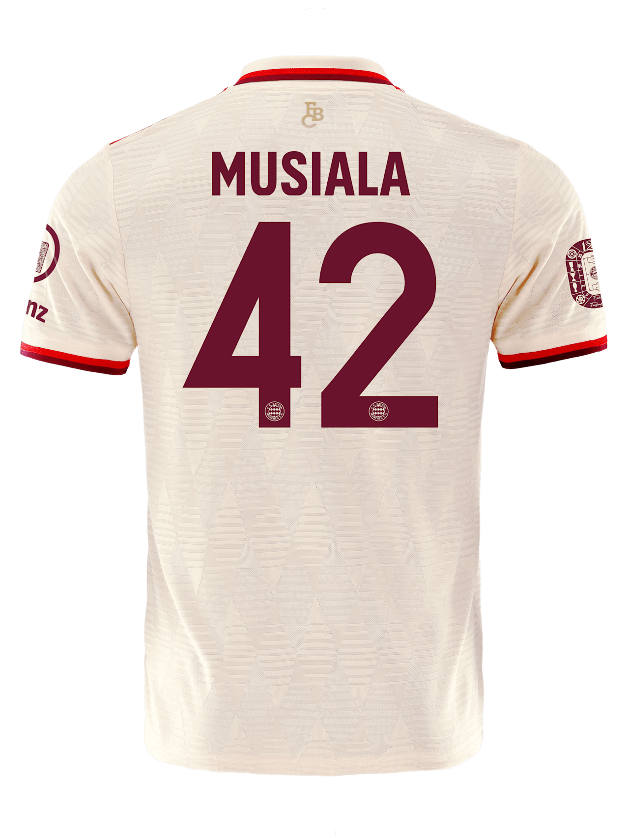 Authentic Trikot UCL 24-25 detail 2