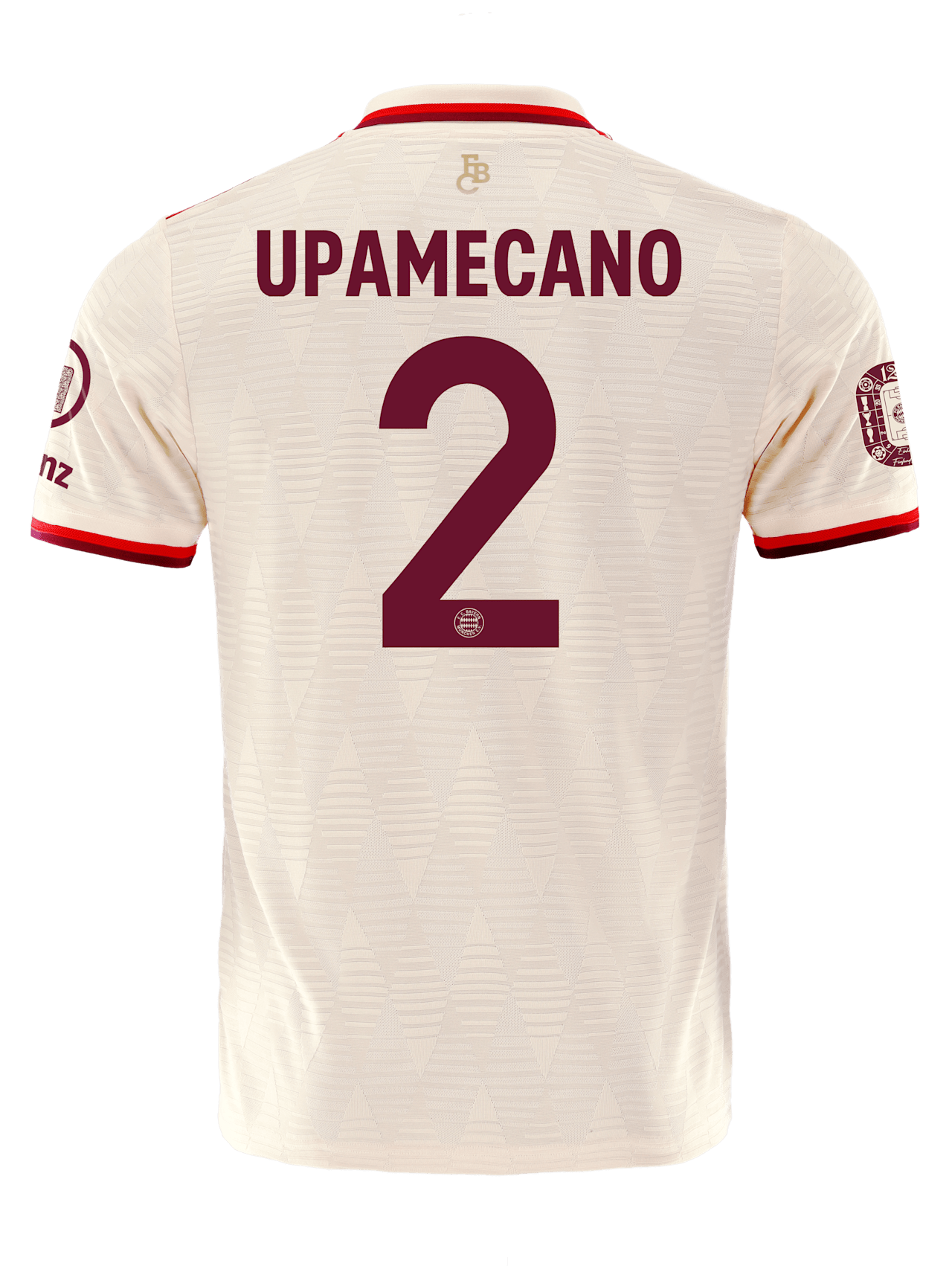 Authentic Trikot UCL 24-25 detail 2