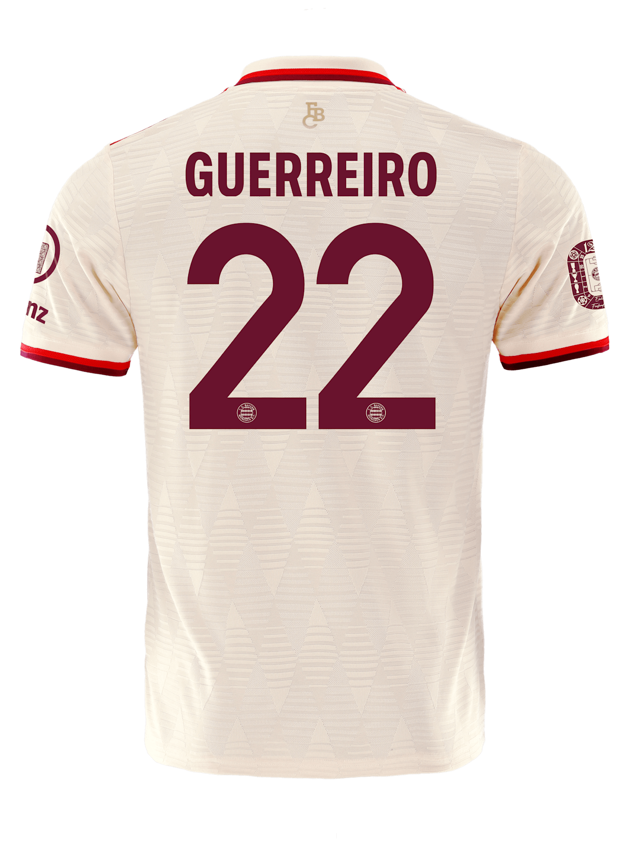 Authentic Trikot UCL 24-25 detail 2