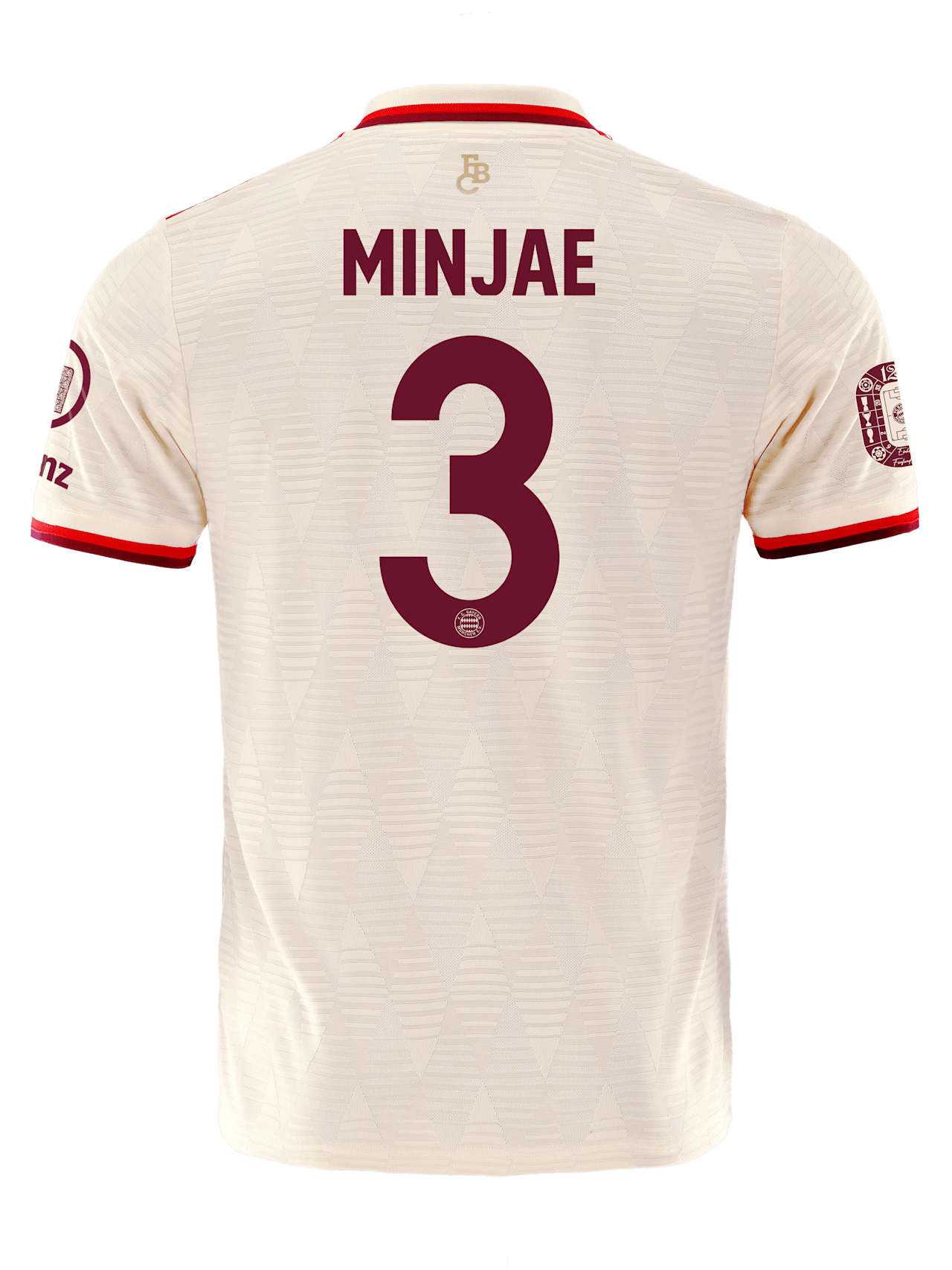 Authentic Jersey UCL 24-25 detail 2