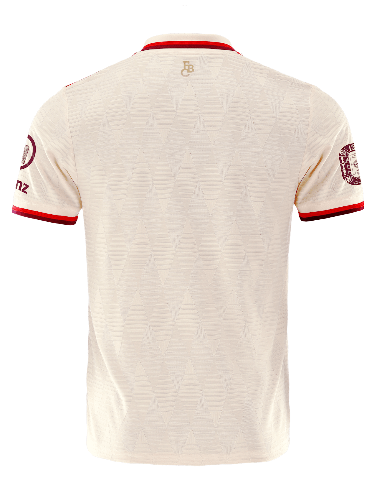 Authentic Trikot UCL 24-25 detail 2