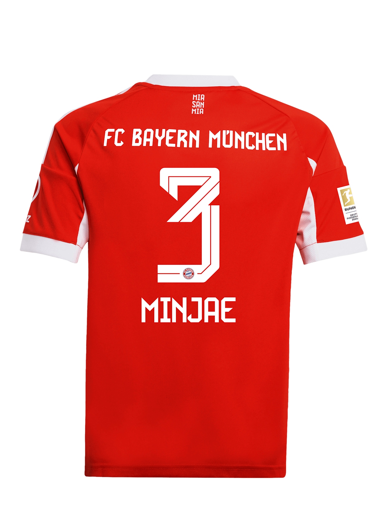 Trikot Home 25-26 detail 2