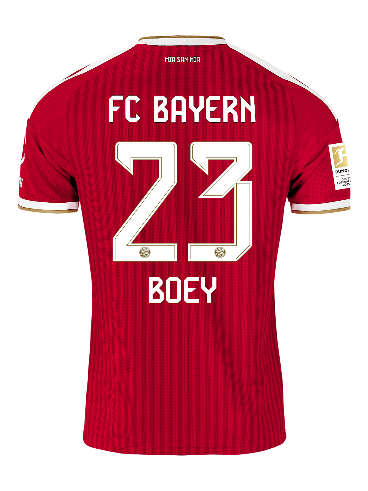 Jersey Home 26-27 detail 2