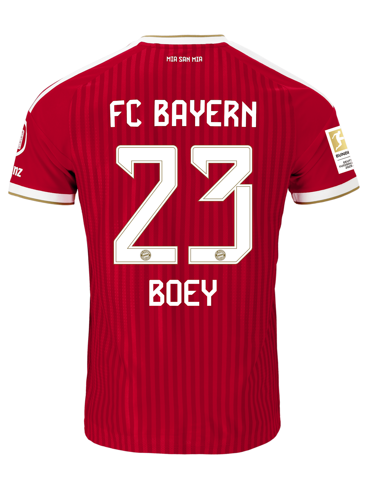 Authentic Jersey Home 26-27 detail 2