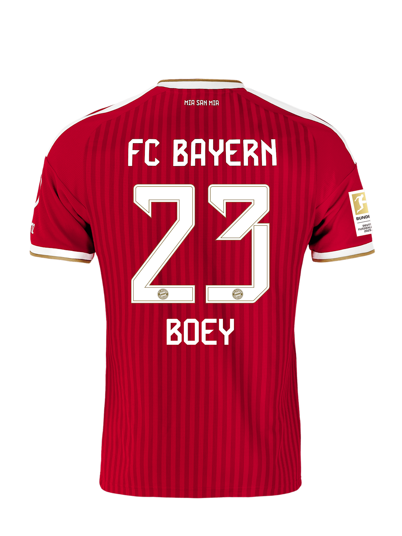 Jersey Home 26-27 detail 2