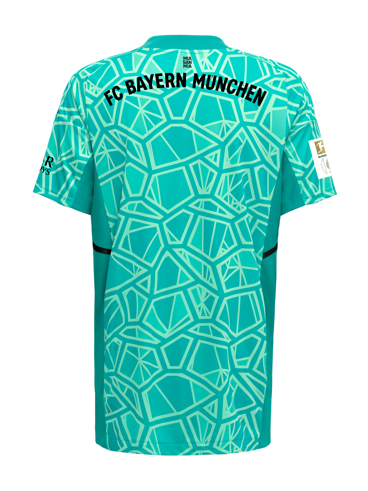 Maglia Portiere 22-23 detail 2