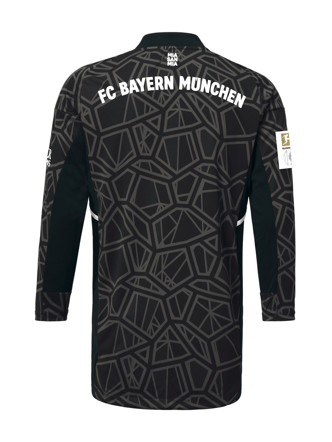 Maillot gardien de but 22-23 detail 2