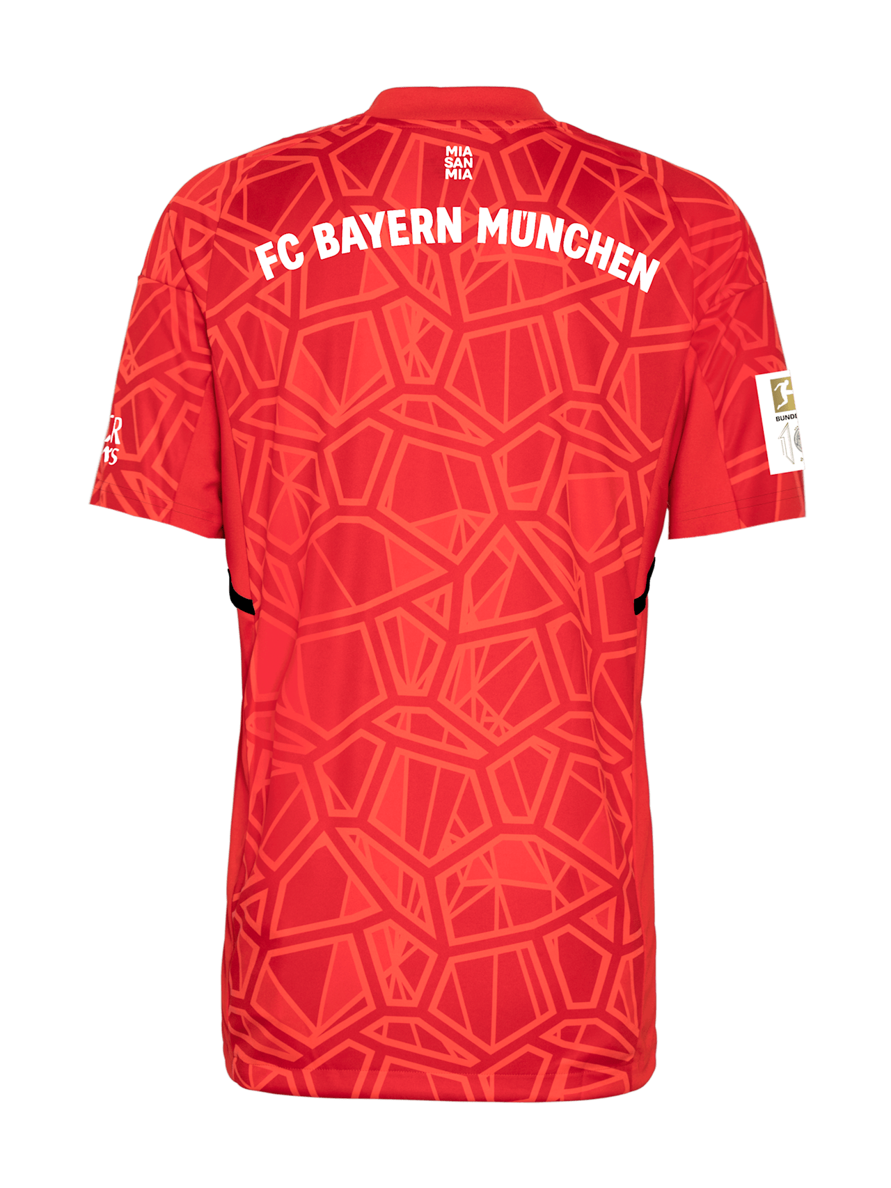Goalkeeper shirt 22-23 detail 2