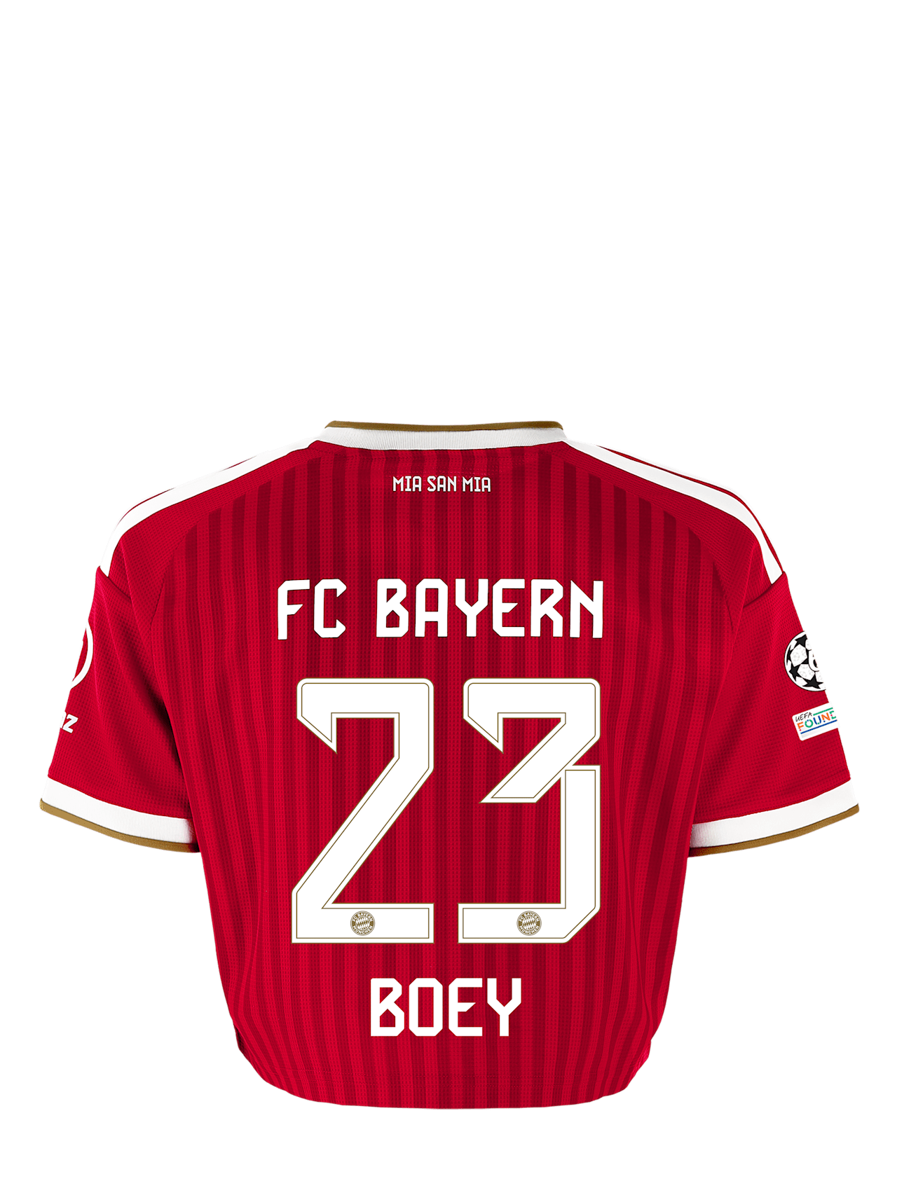 Cropped Jersey Home 26-27 detail 2