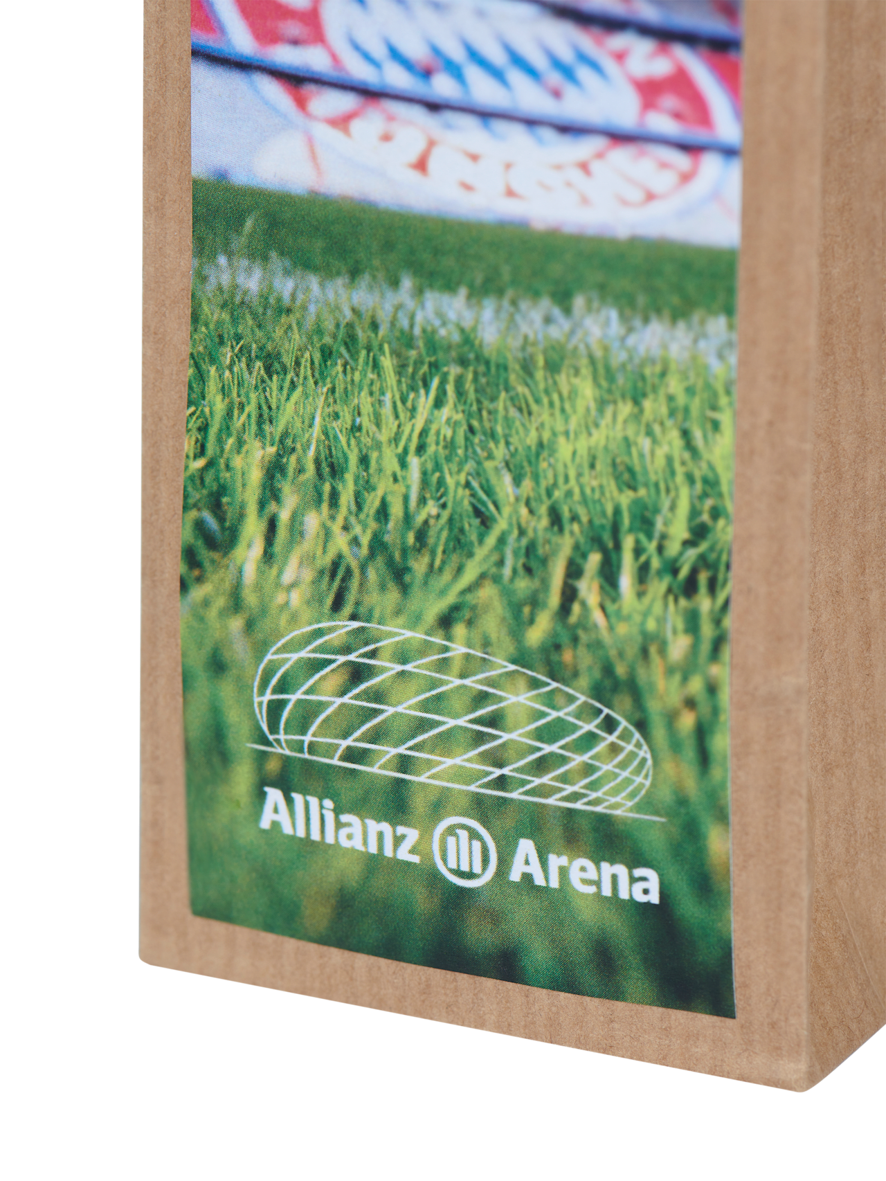 Rasenmischung Arena detail 5