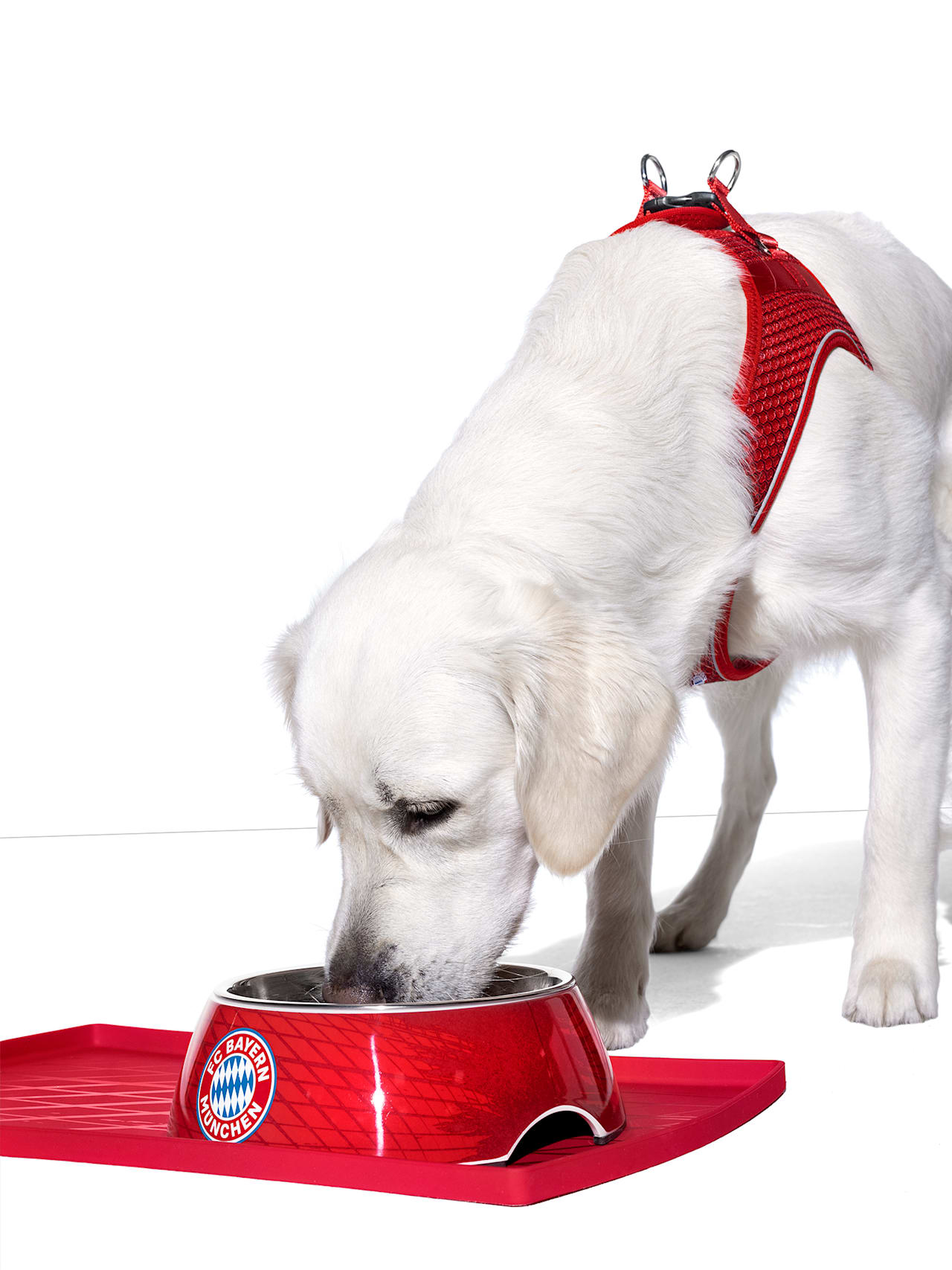 FC Bayern bowl mat detail 4