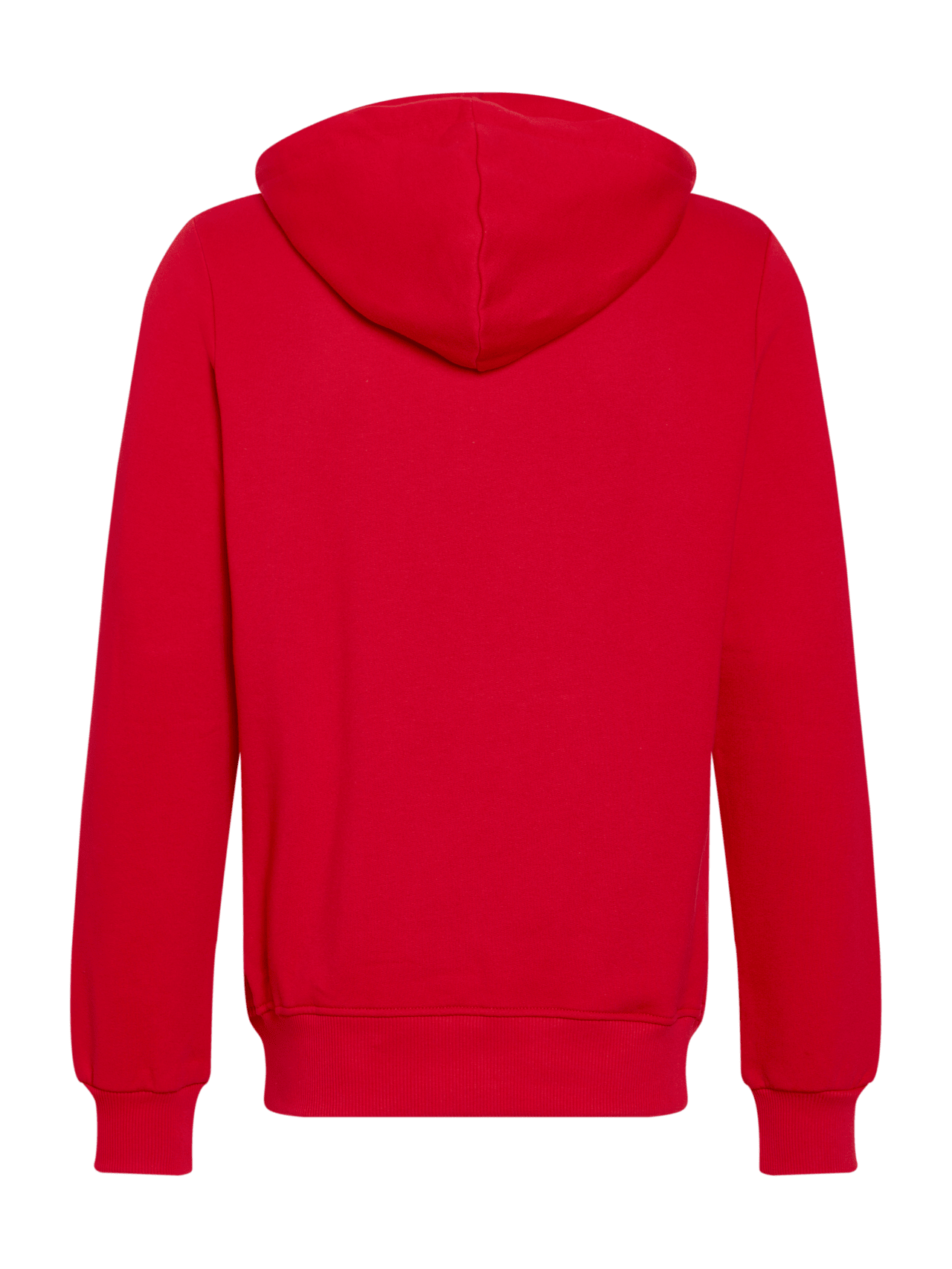 Hoodie with logo detail 2