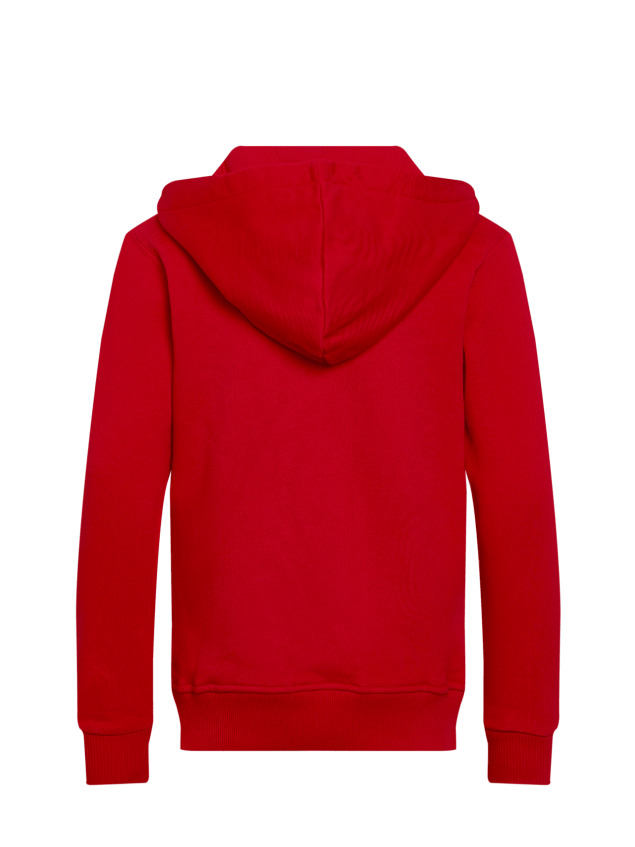 Sweat à capuche Logo detail 2
