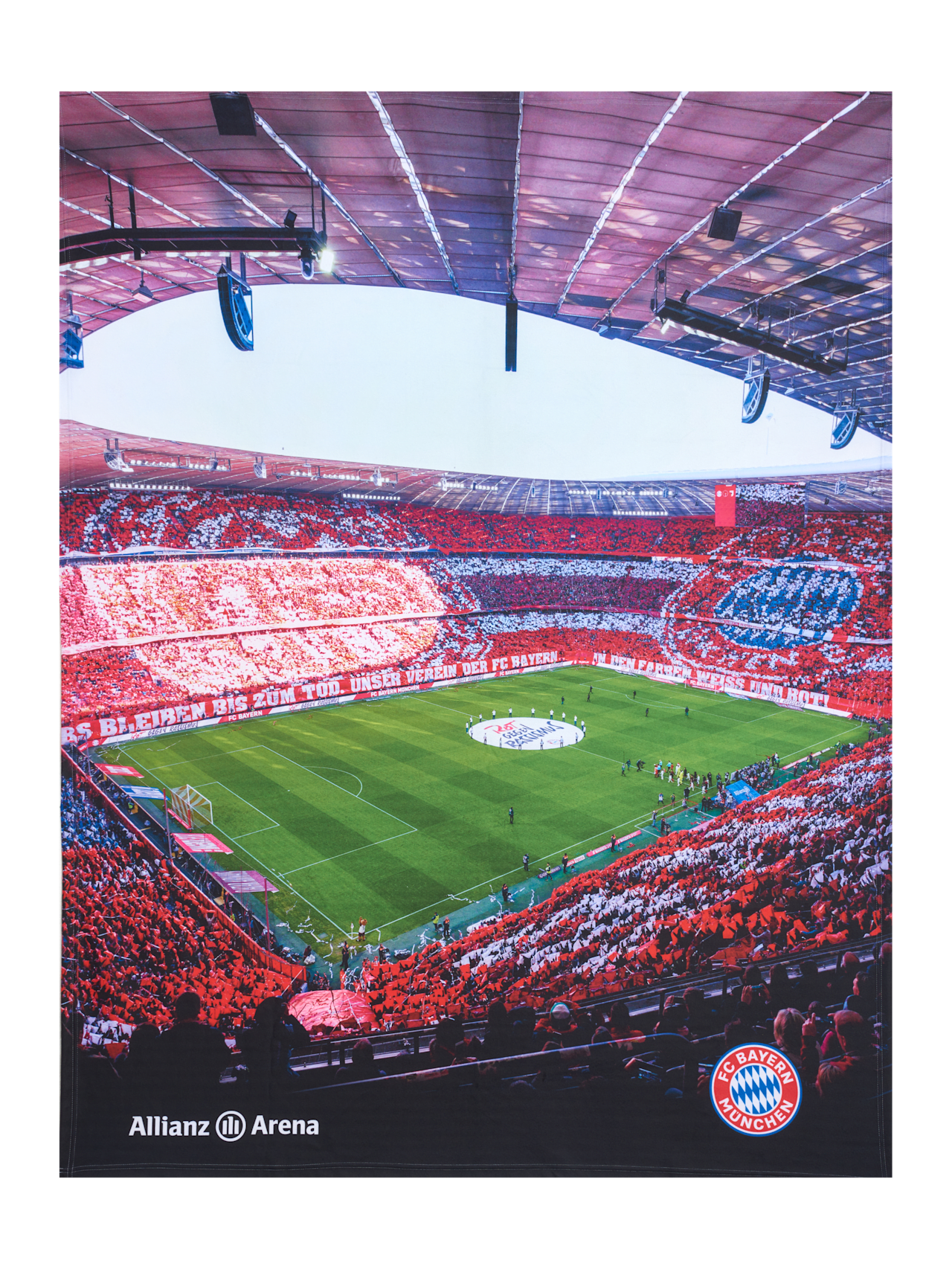Fleecedecke Arena detail 1