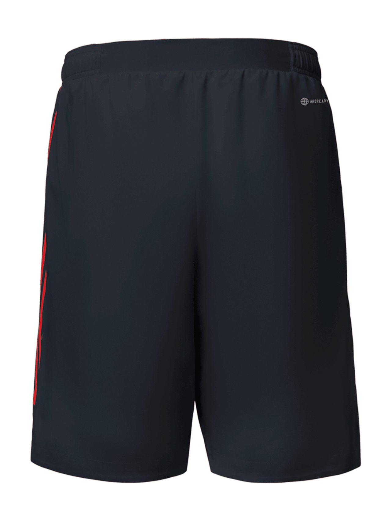 Authentic Short UCL 22-23 detail 2