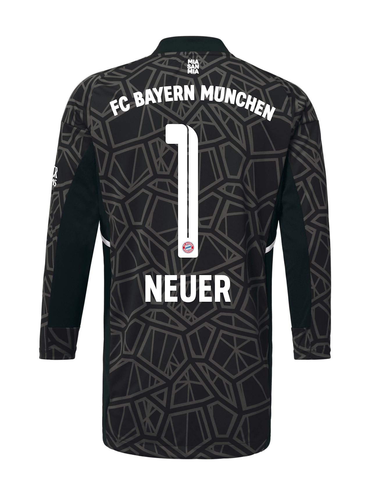 Maillot gardien de but 22-23 detail 2