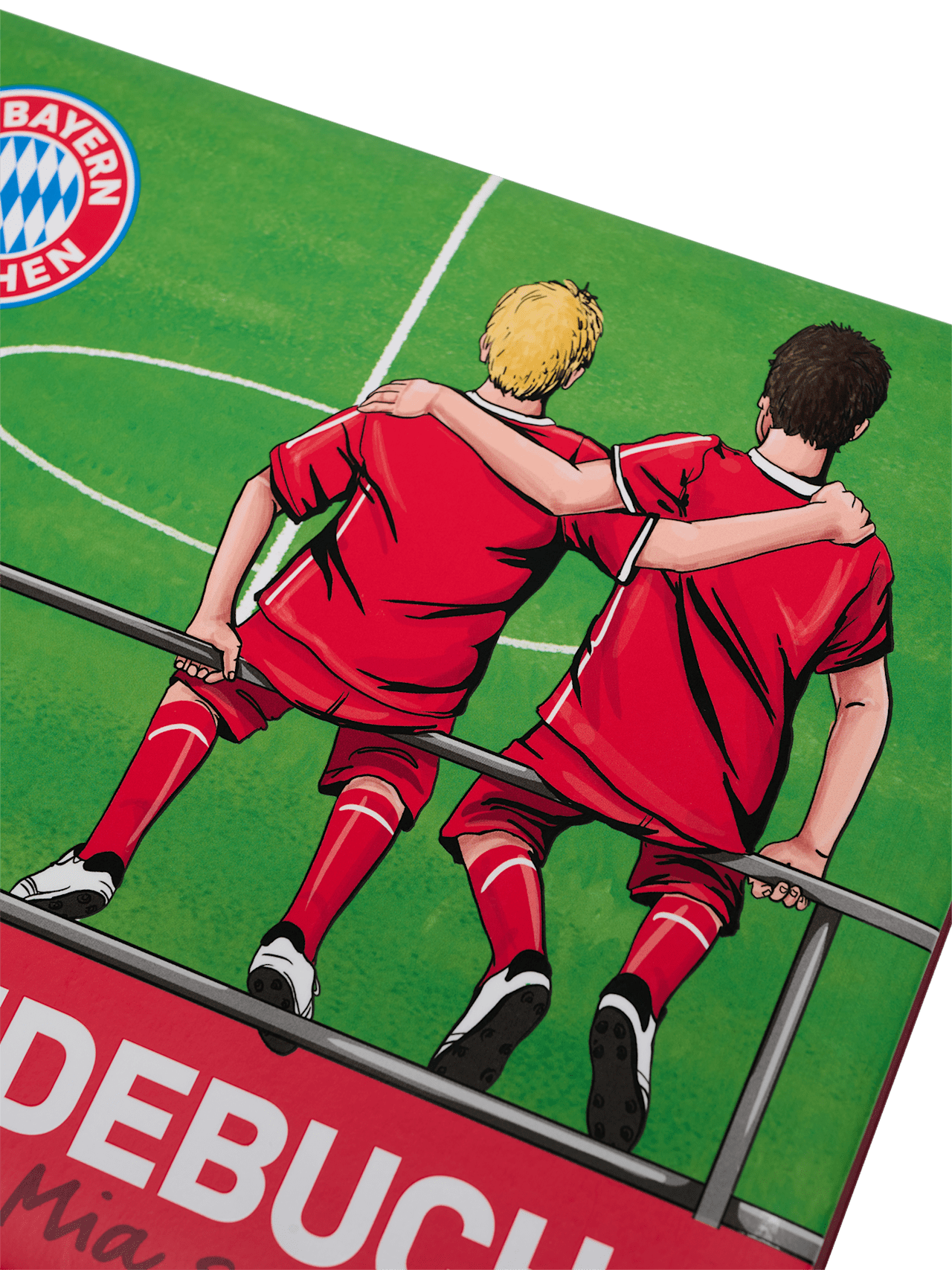 Friends book detail 6