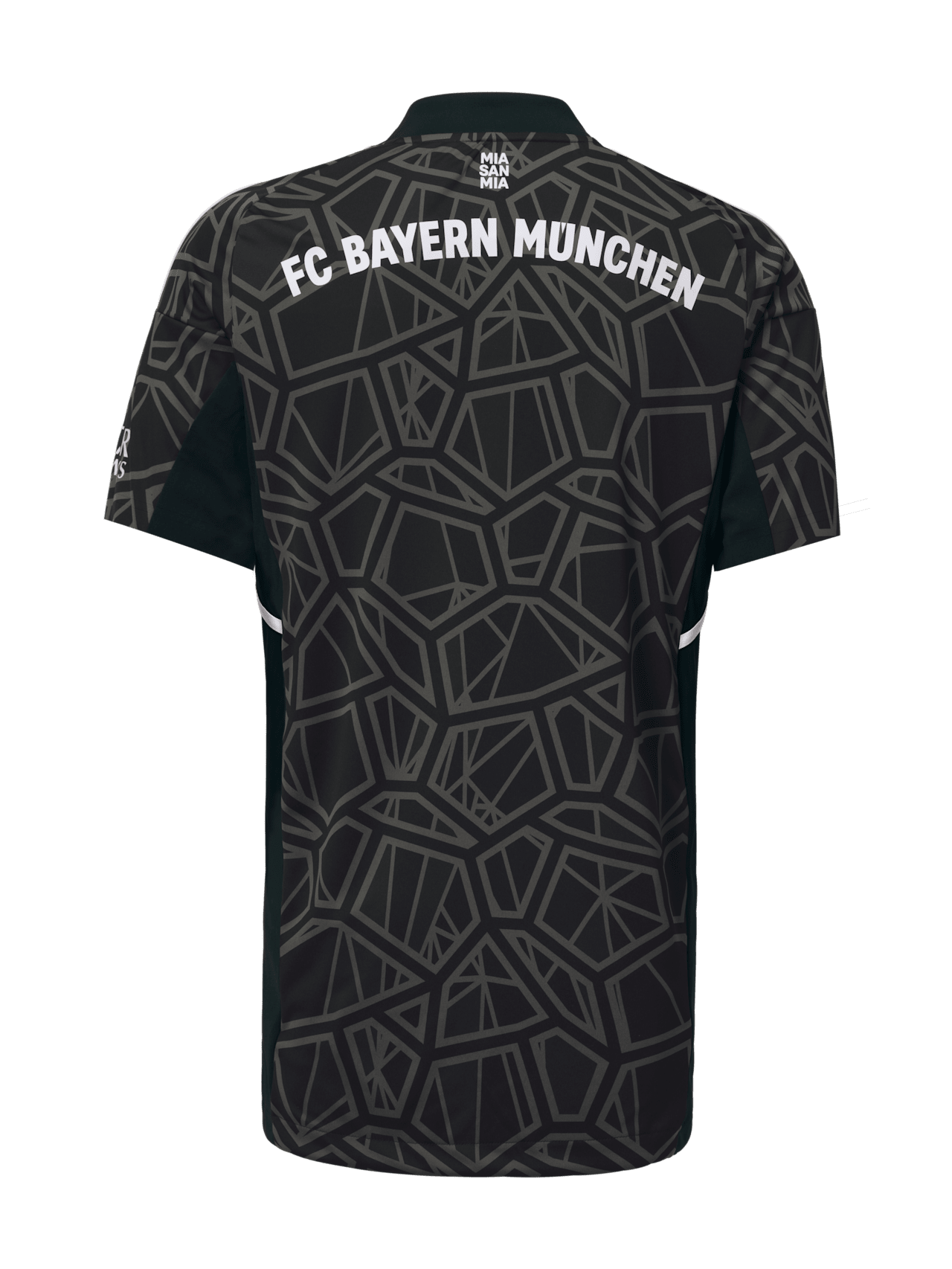 Maglia Portiere 22-23 detail 2