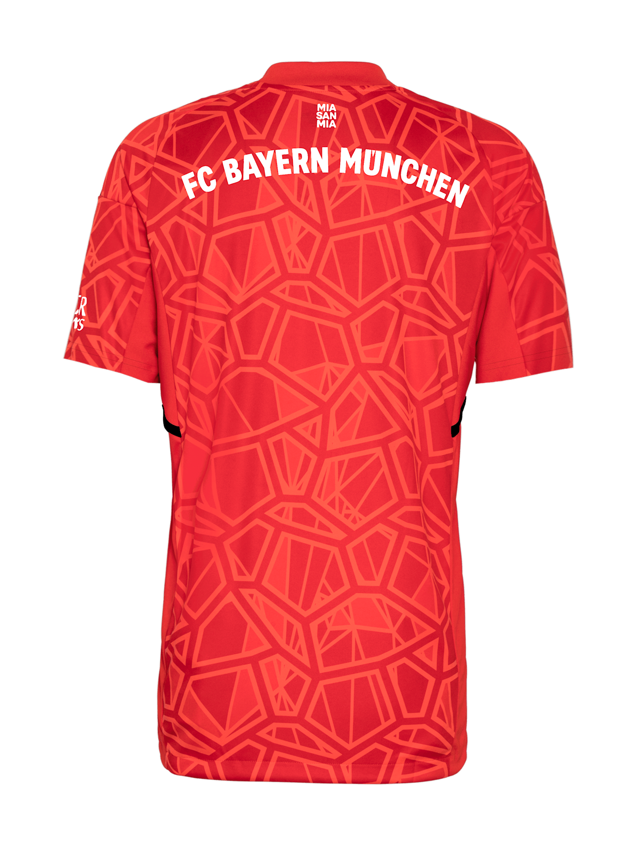 Trikot Torwart 22-23 detail 2