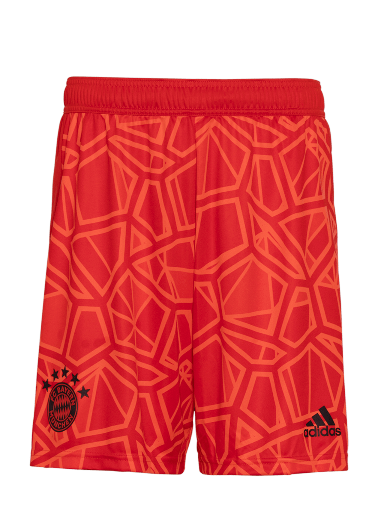 Goalkeeper shorts 22-23 detail 1