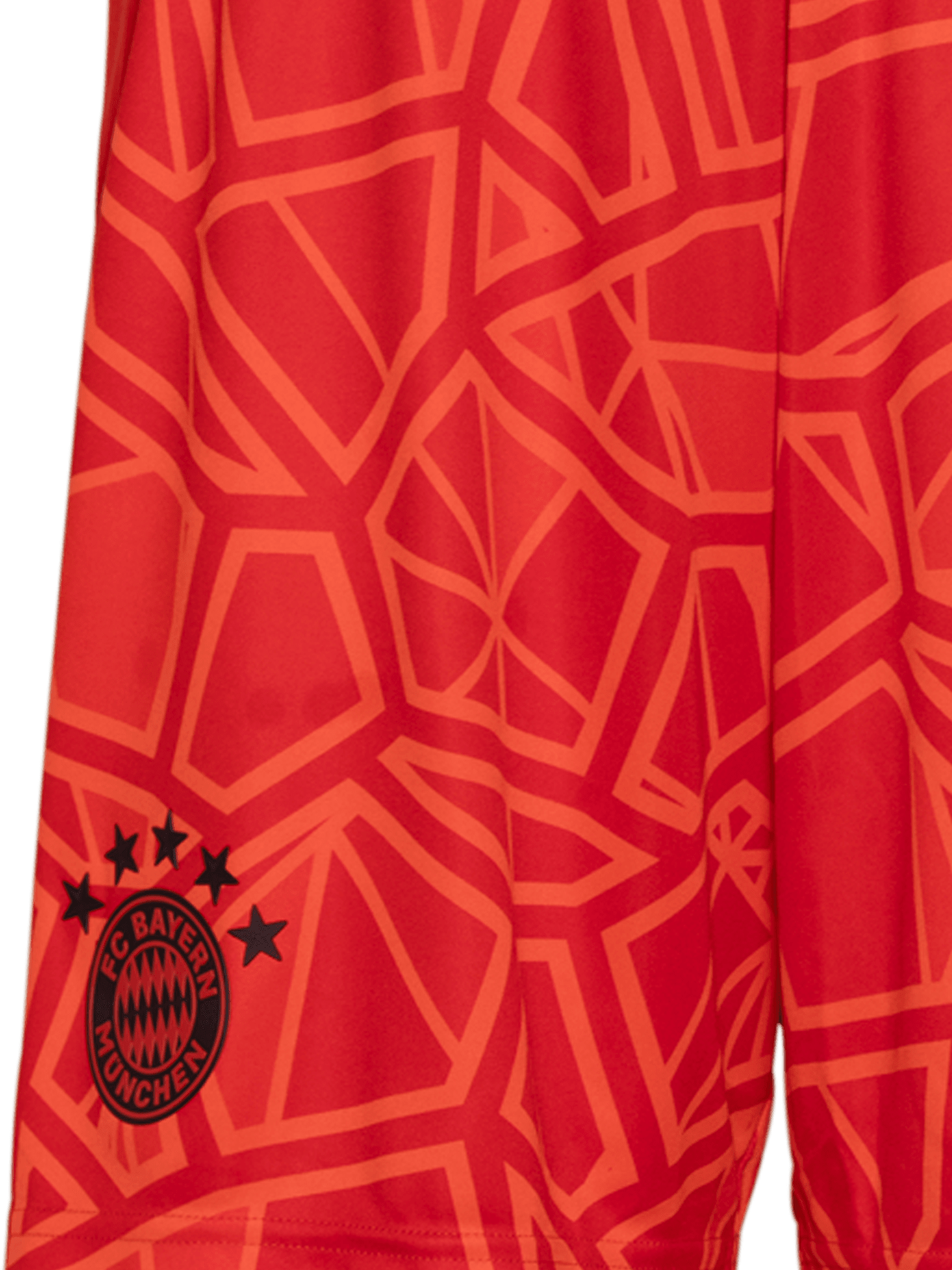 Goalkeeper shorts 22-23 detail 3
