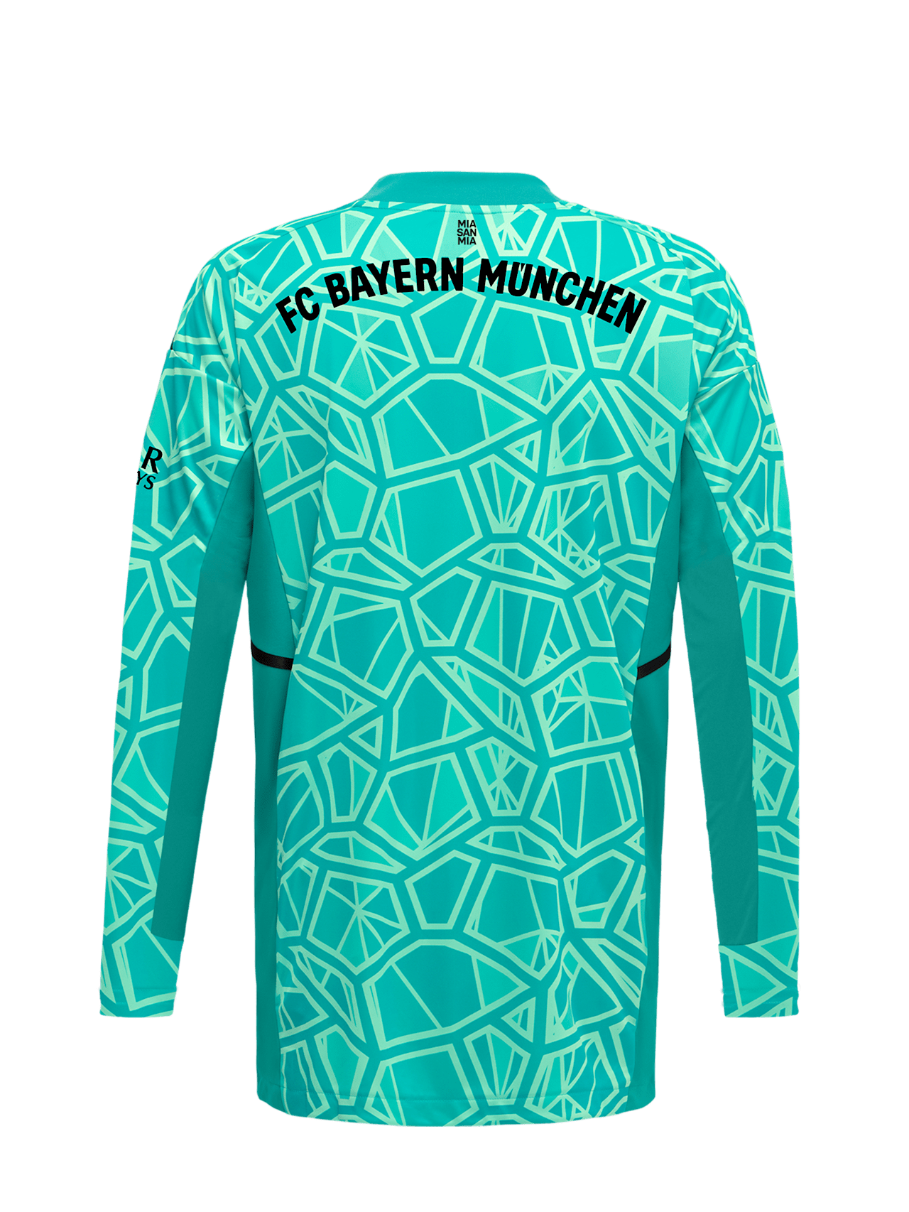 Maillot Gardien de but Manches longues 22-23 detail 2