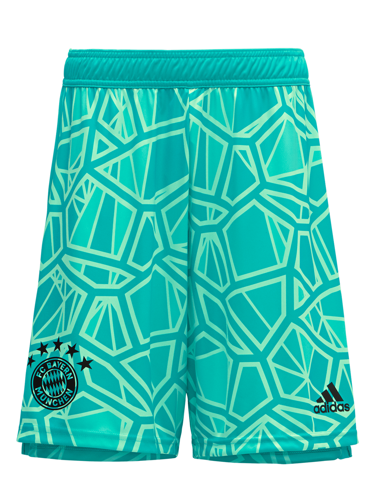 Goalkeeper shorts 22-23 detail 1