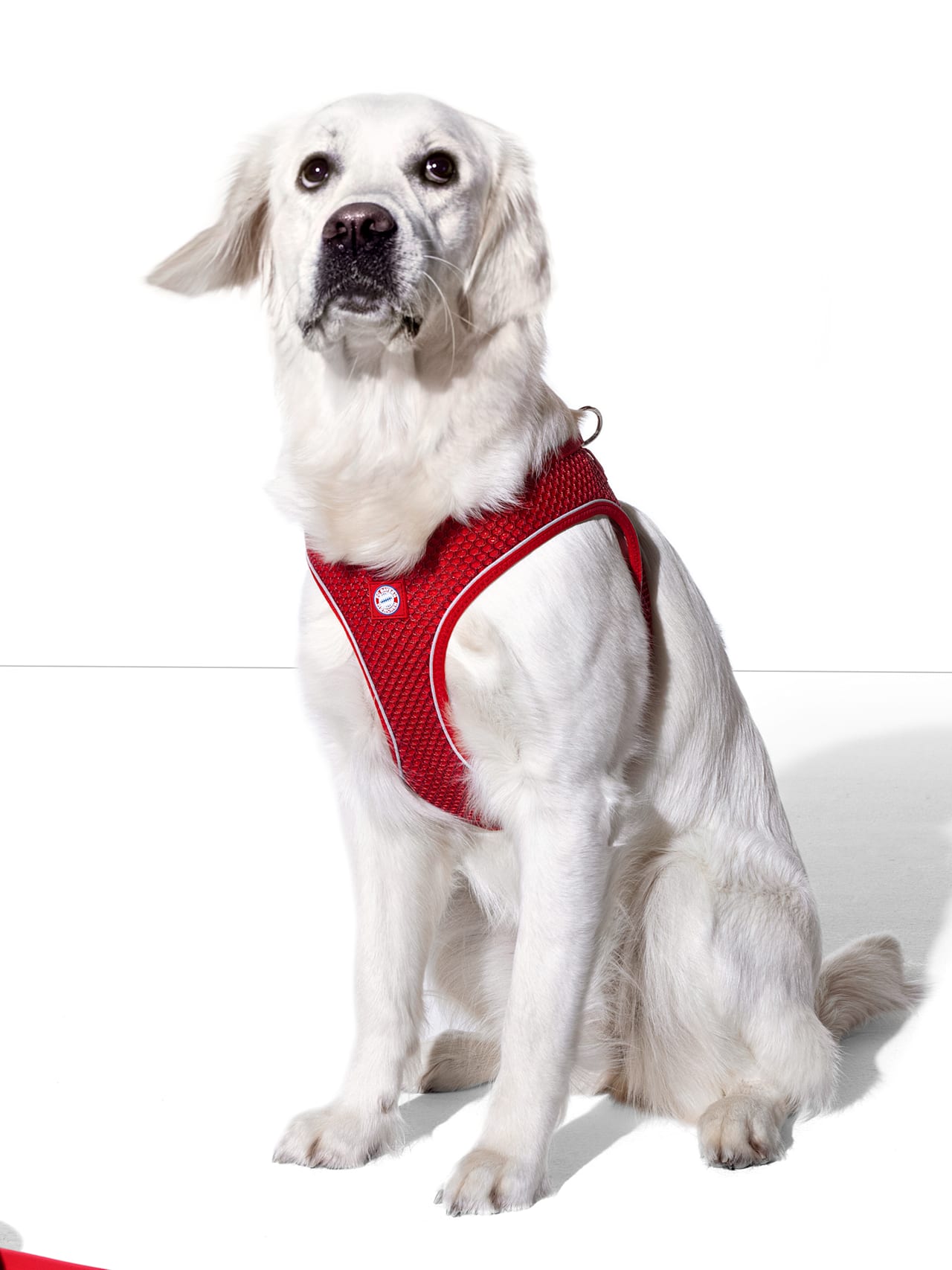 Hundegeschirr Hilo Comfort FC Bayern detail 2
