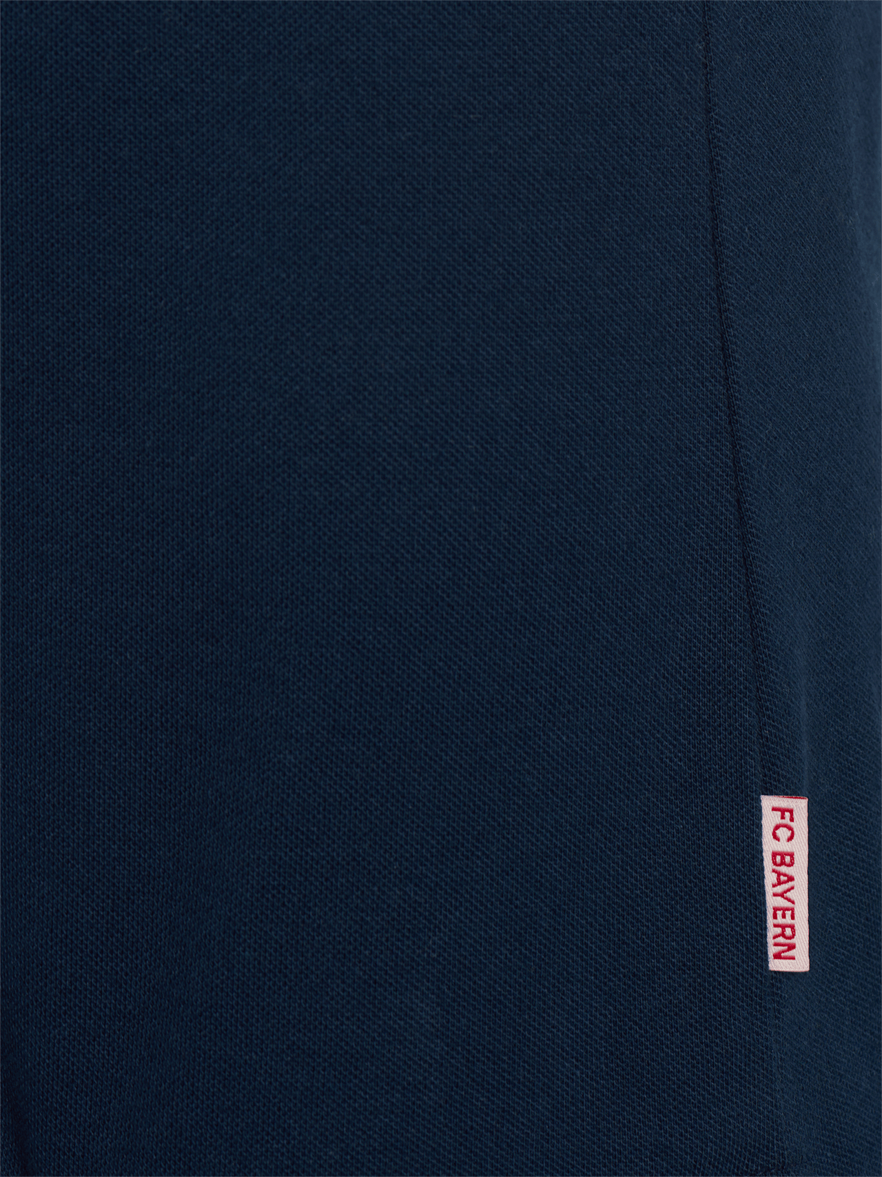 Campione di polo record detail 4